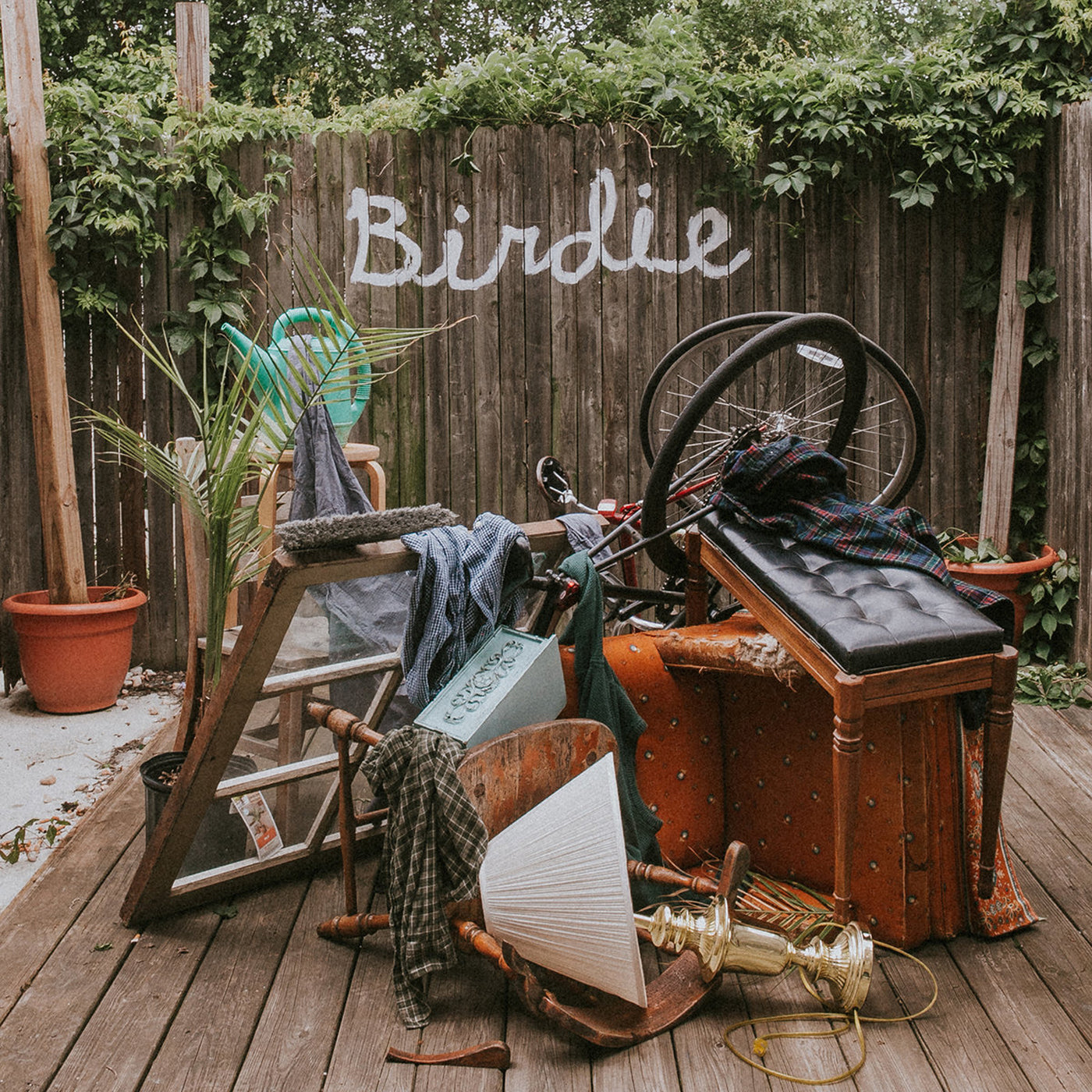 Slaughter Beach Dog - Birdie [Olive Green Vinyl]