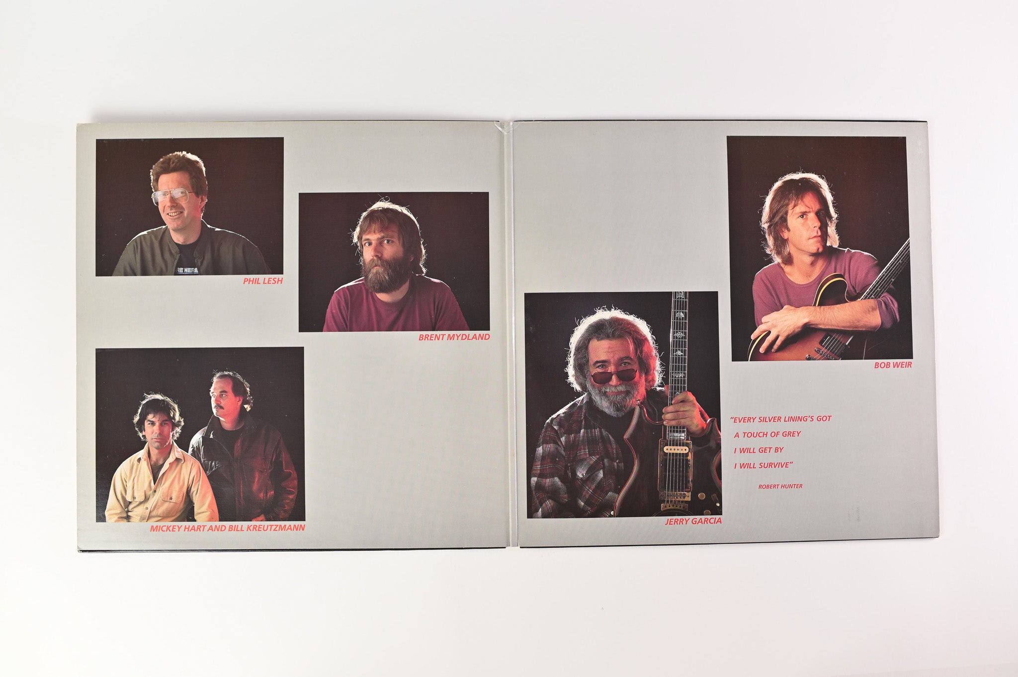 The Grateful Dead - In The Dark Club Edition on Arista