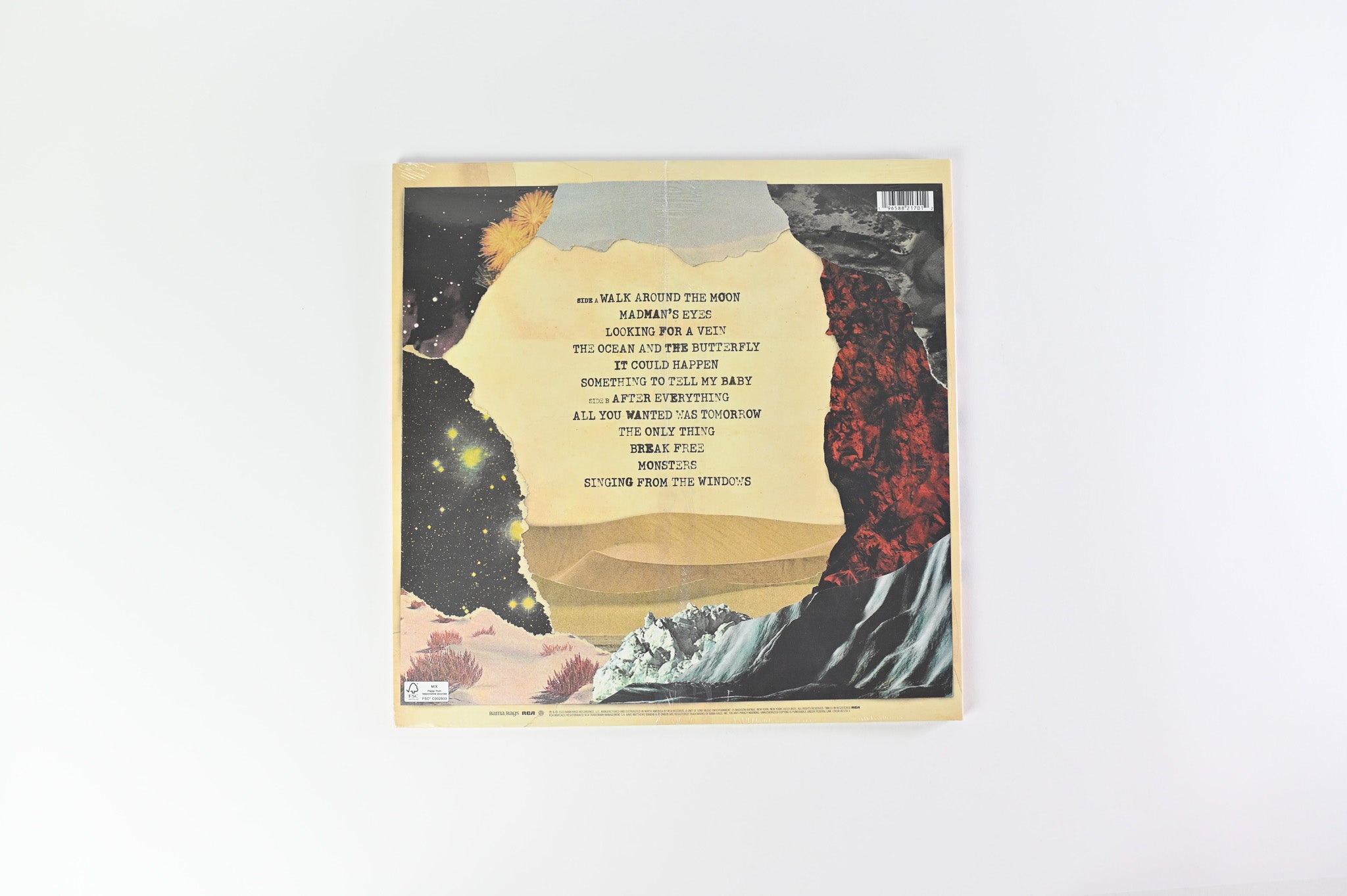 Dave Matthews Band - Walk Around The Moon on RCA / Bama Rags