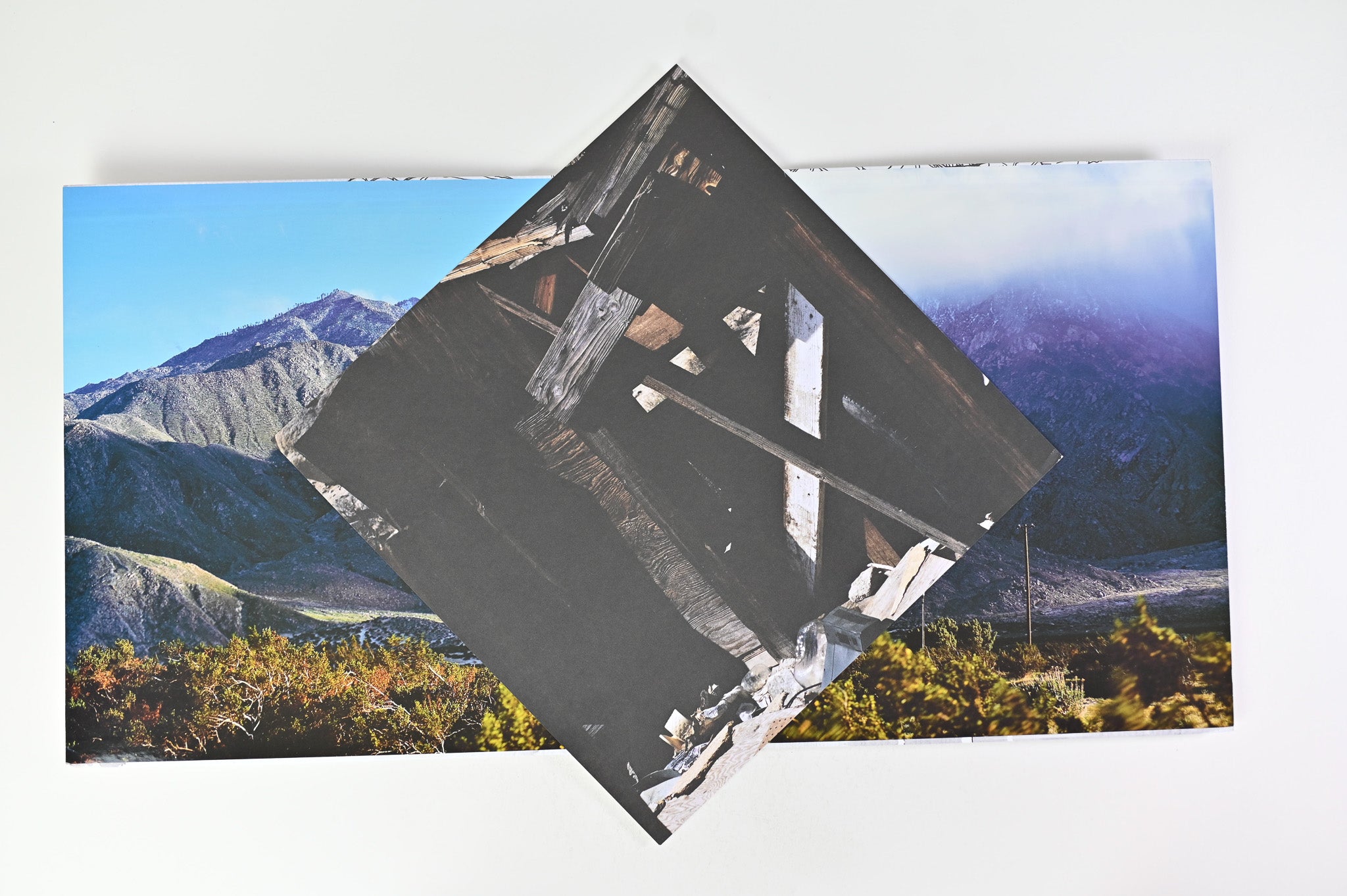 Everlovely Lightningheart - Sien Weal Tallion Rue on Hydra Head Records