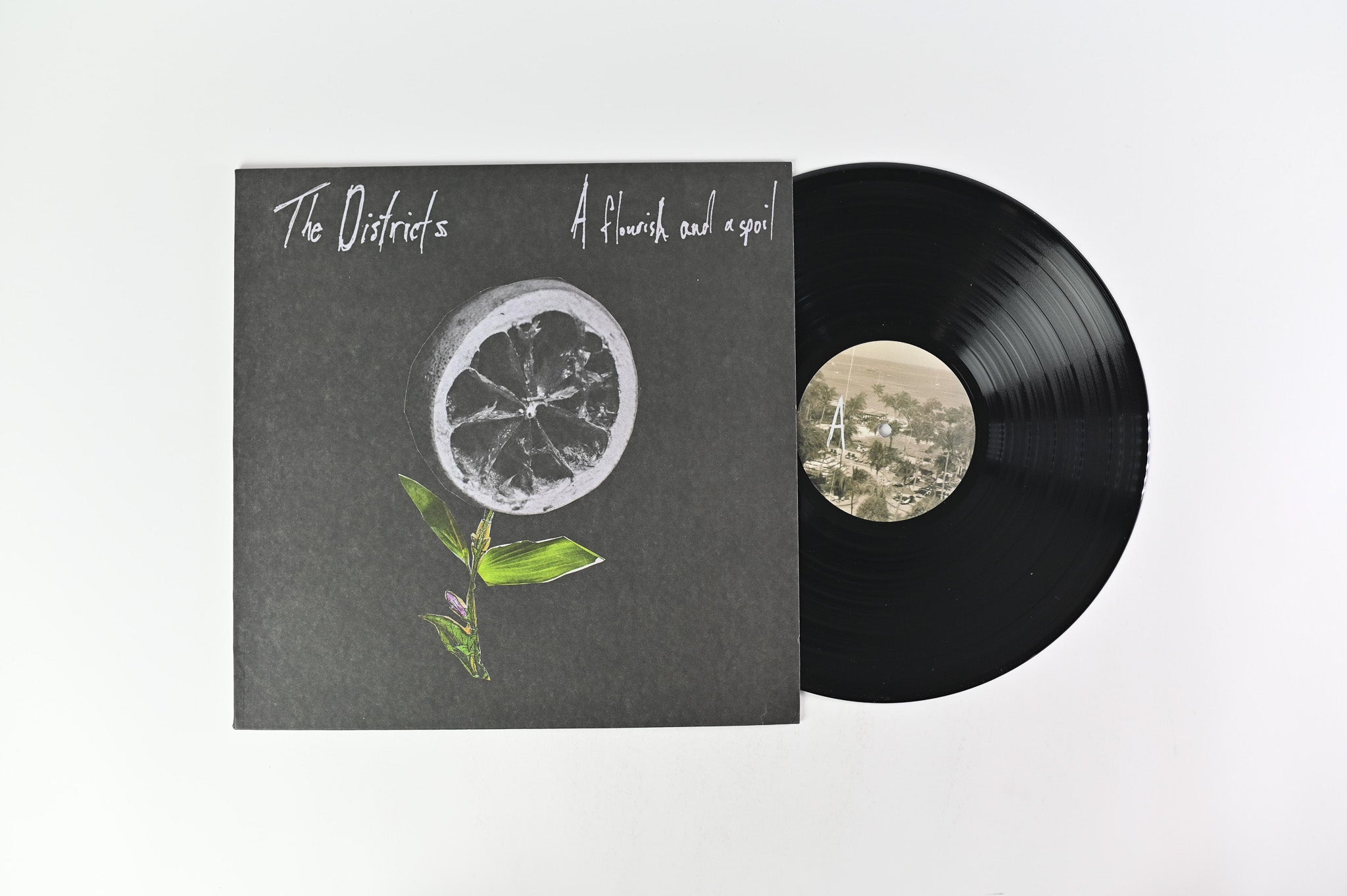 The Districts - A Flourish And A Spoil on Fat Possum Records