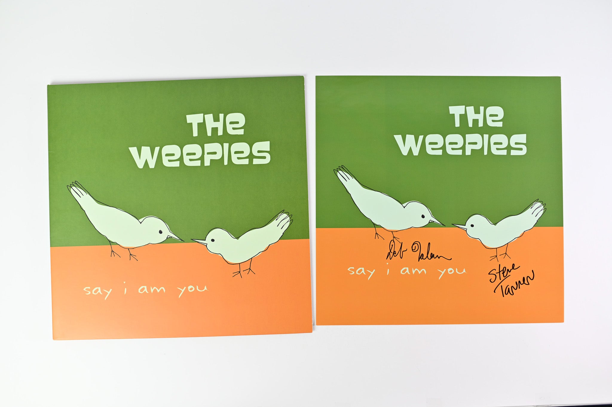The Weepies - Say I Am You on Nettwerk RSD 2016 Ltd Orange Translucent