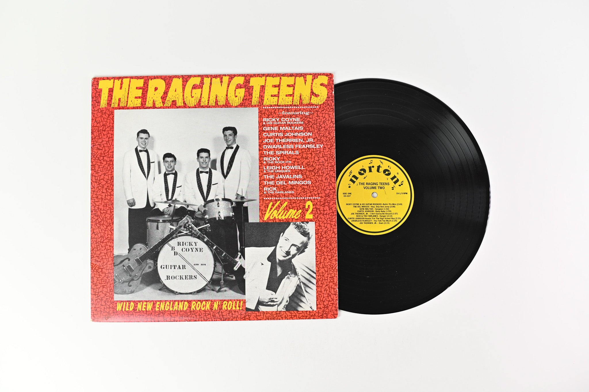 Various - The Raging Teens Volume 2 on Norton Records