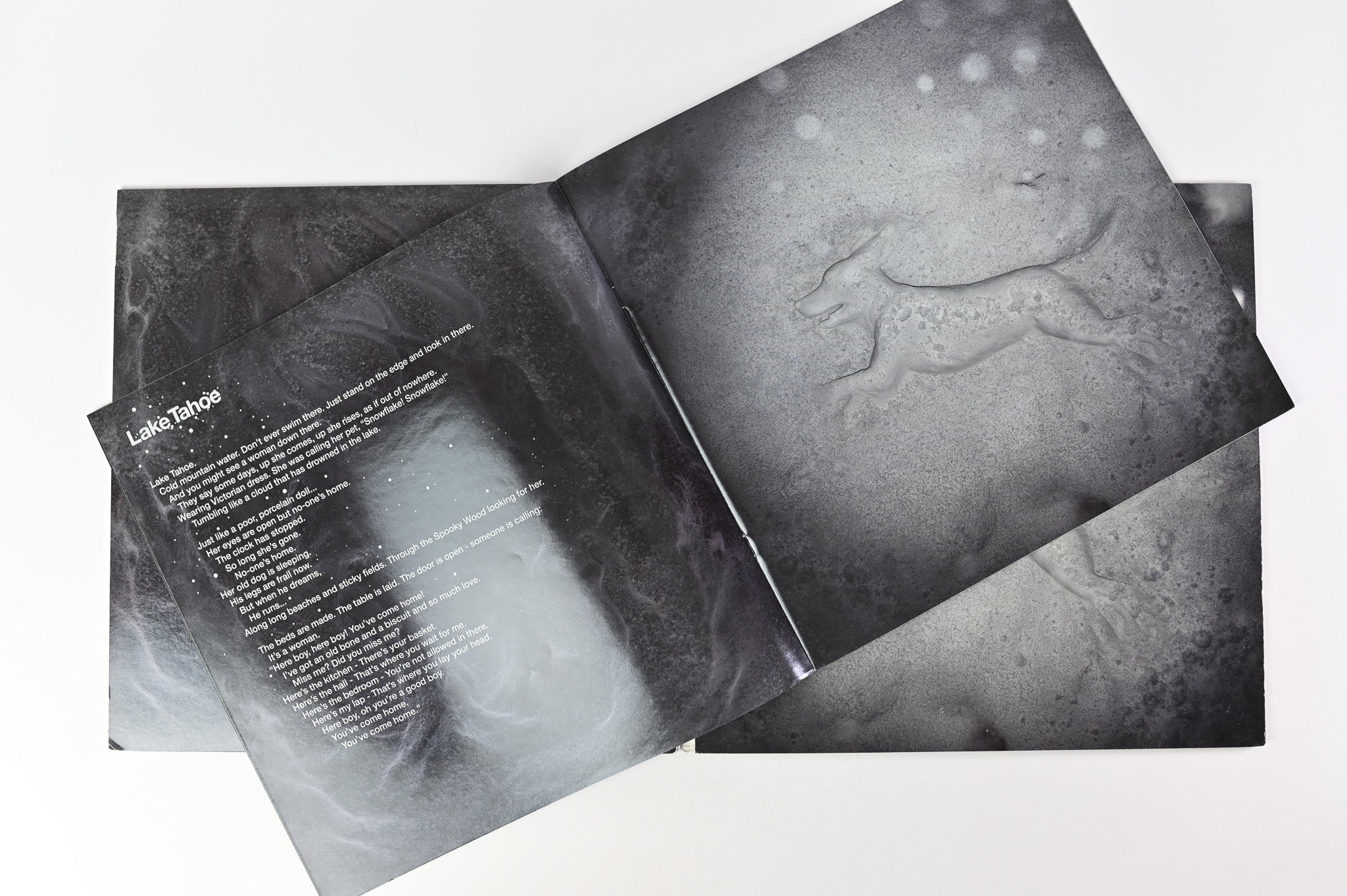 Kate Bush - 50 Words For Snow on Anti-