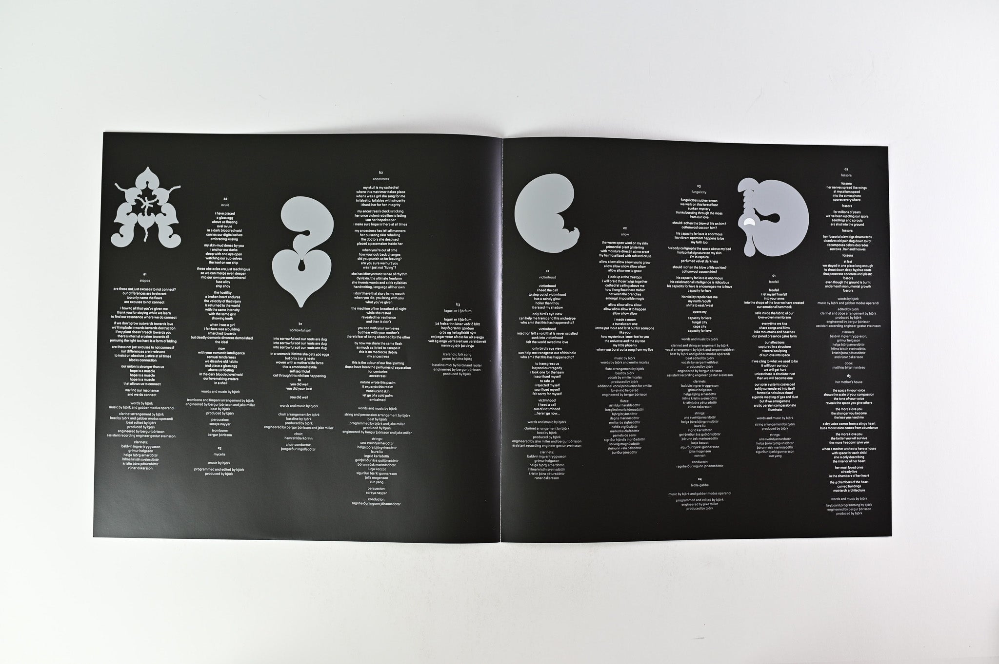 米2LP Bjork Fossora TPLP1485X One Little Independe /00520 Björk – Fossora - New 2 LP Record 2022 One Little Independent