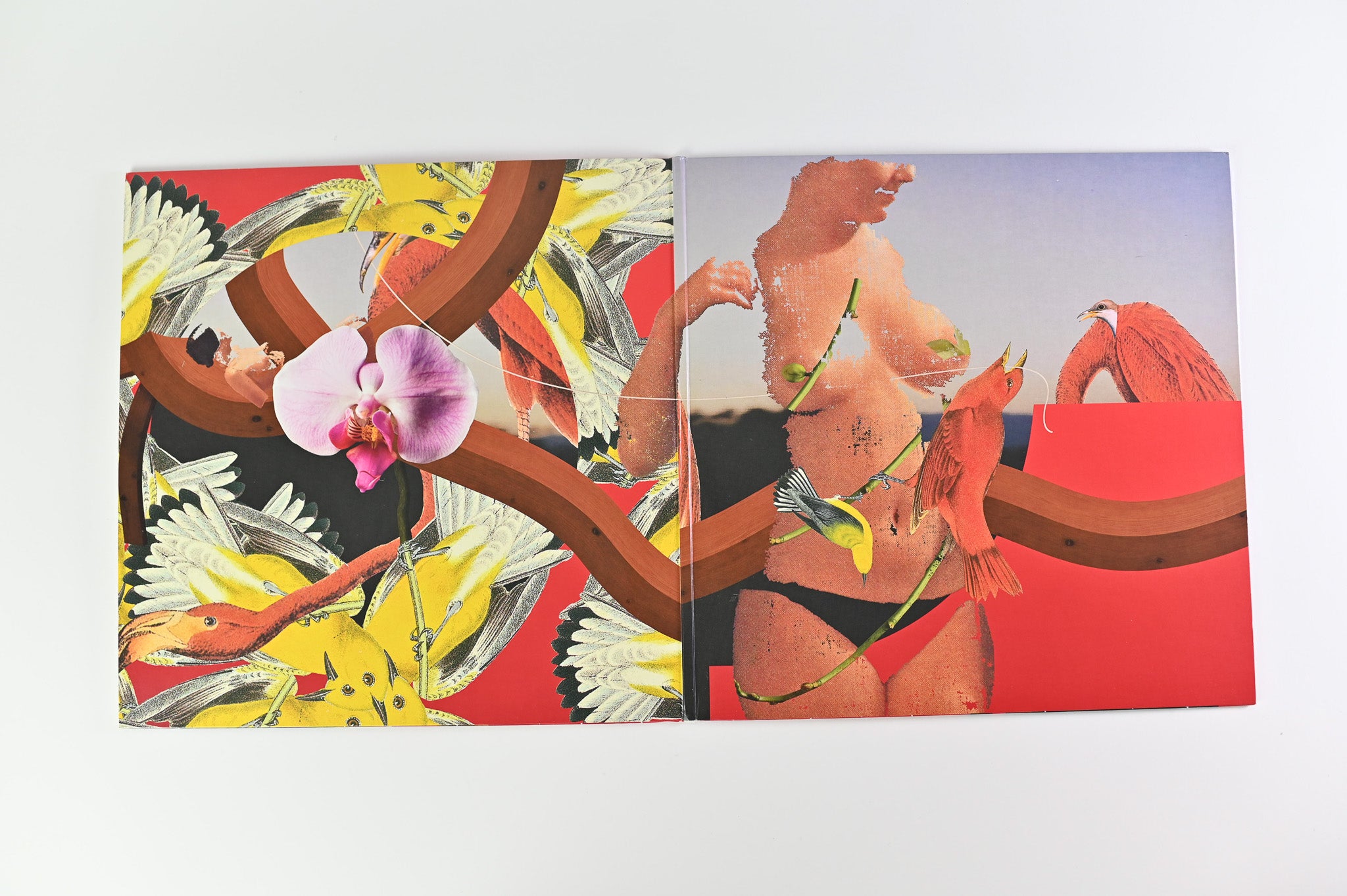 Mac Miller - Watching Movies With The Sound Off on Rostrum Ltd Clear With Red Marble Reissue