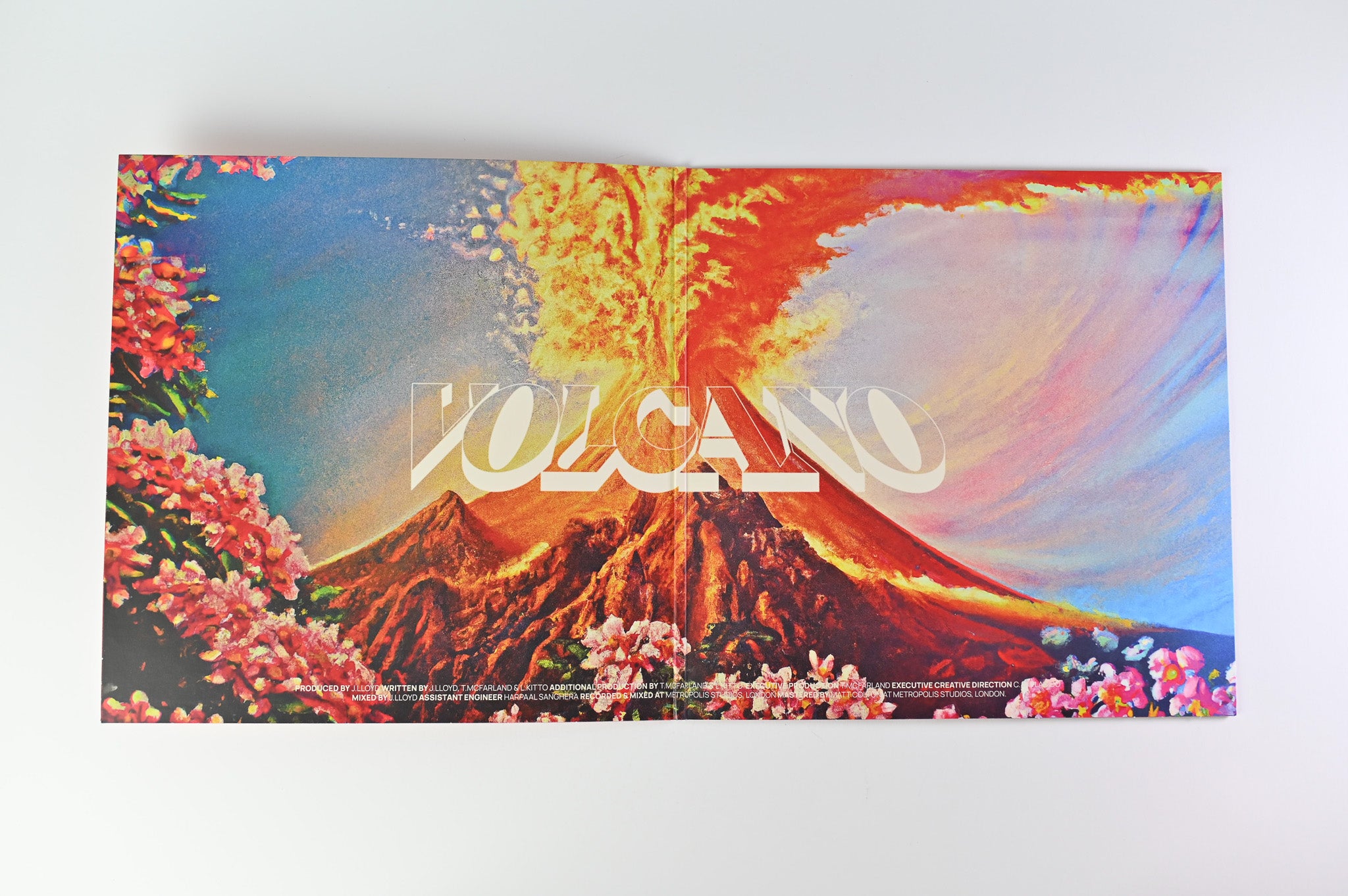 ヨーロッパ盤 JUNGLE (12)/VOLCANO/CAIOLA RECORDS CAI002LP LP 【公式