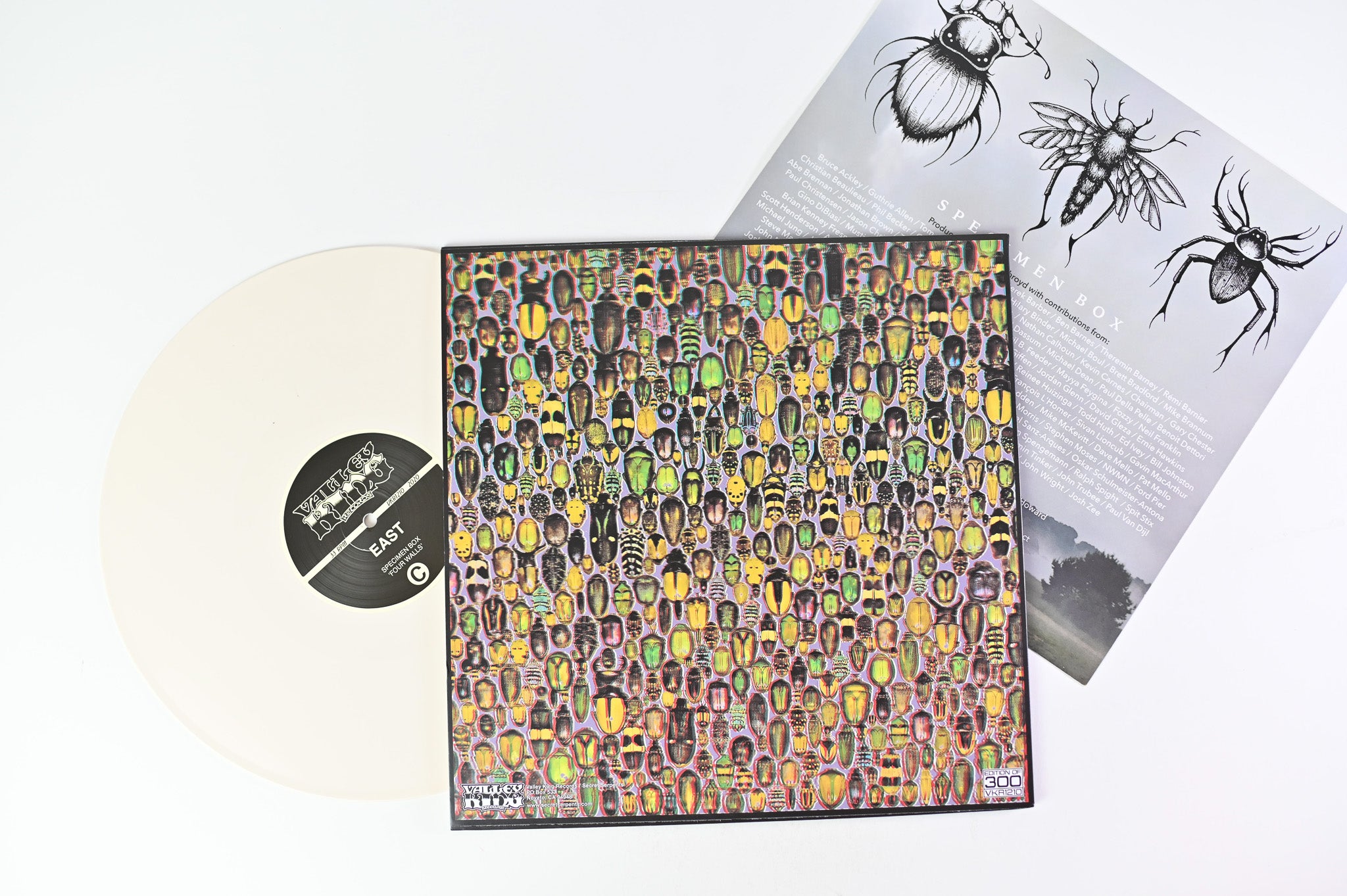 Specimen Box - Four Walls on Valley King Ltd White