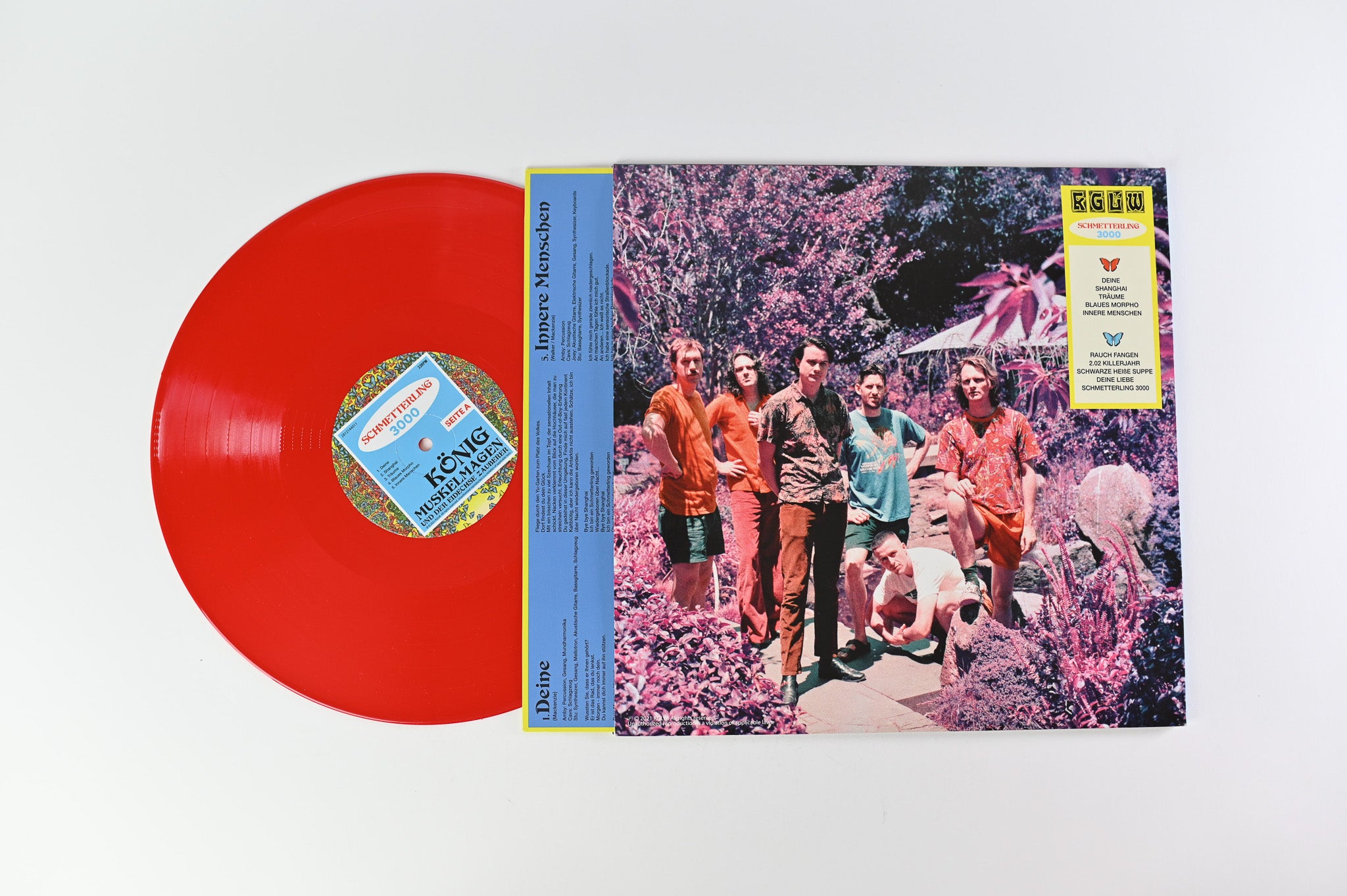 King Gizzard And The Lizard Wizard - Schmetterling 3000