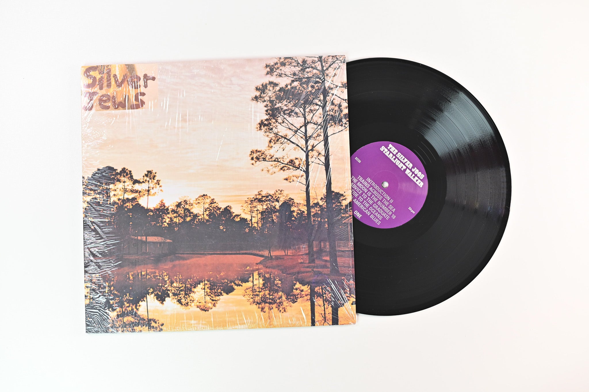 Silver Jews - Starlite Walker on Drag City Reissue