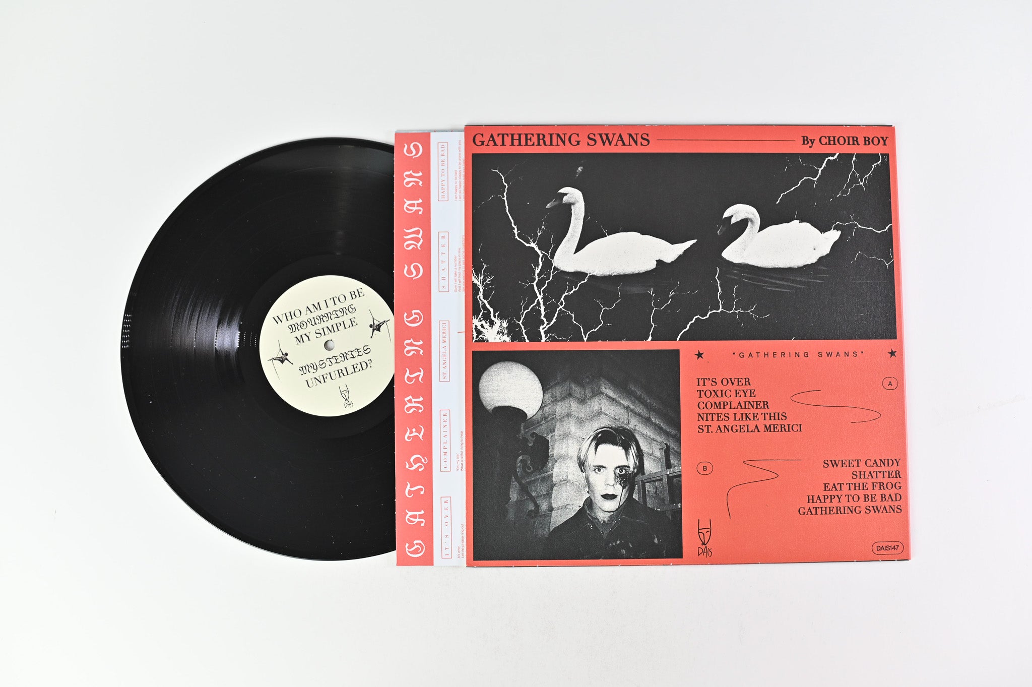 Choir Boy - Gathering Swans on Dais Records