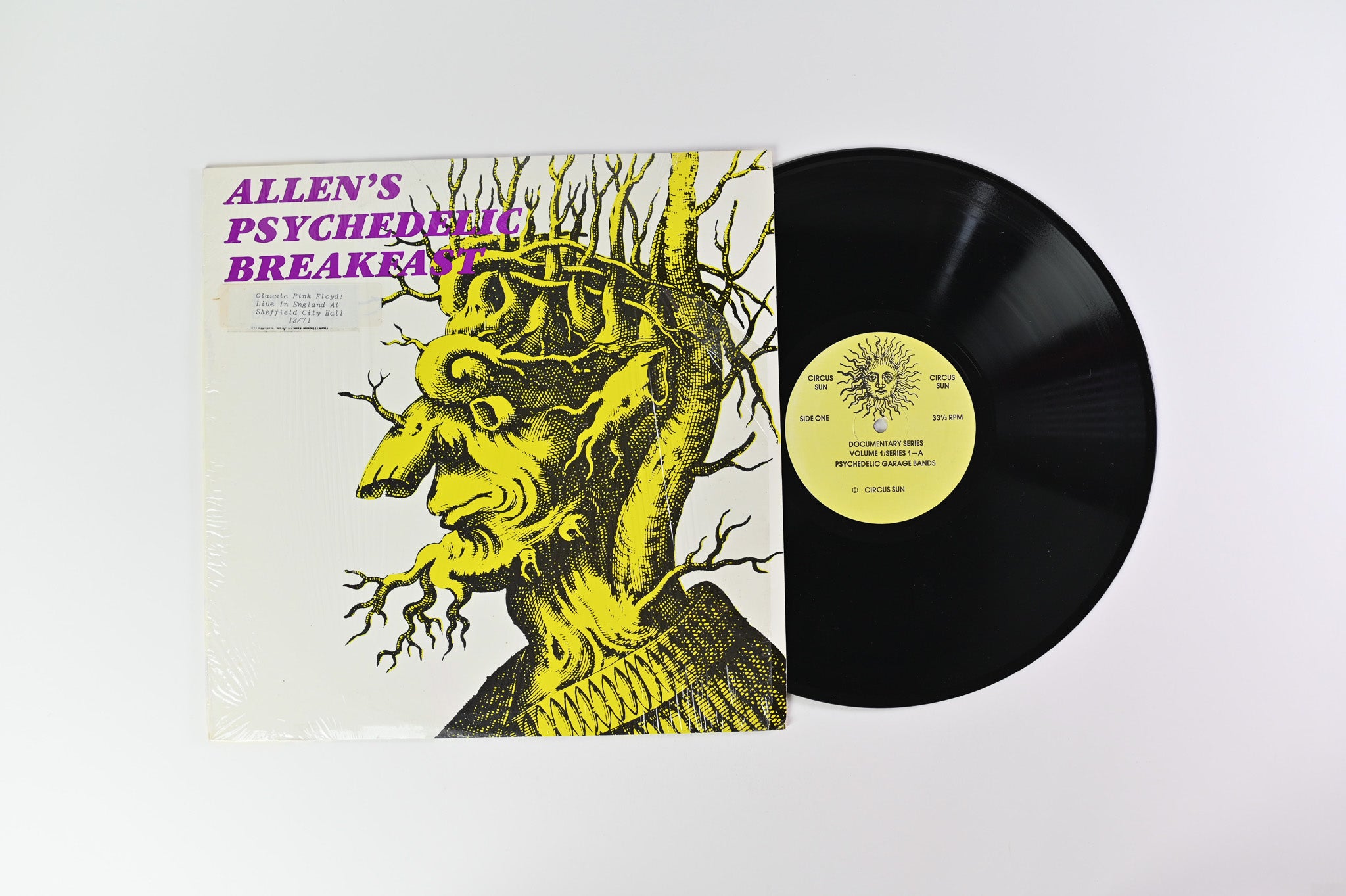 Pink Floyd - Allen's Psychedelic Breakfast Unofficial