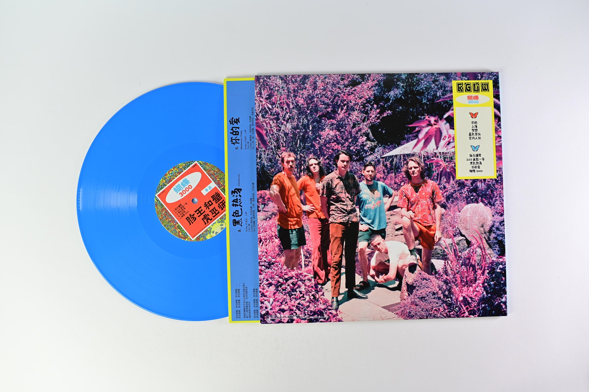 King Gizzard And The Lizard Wizard - 蝴蝶 3000 Butterfly Blue Vinyl