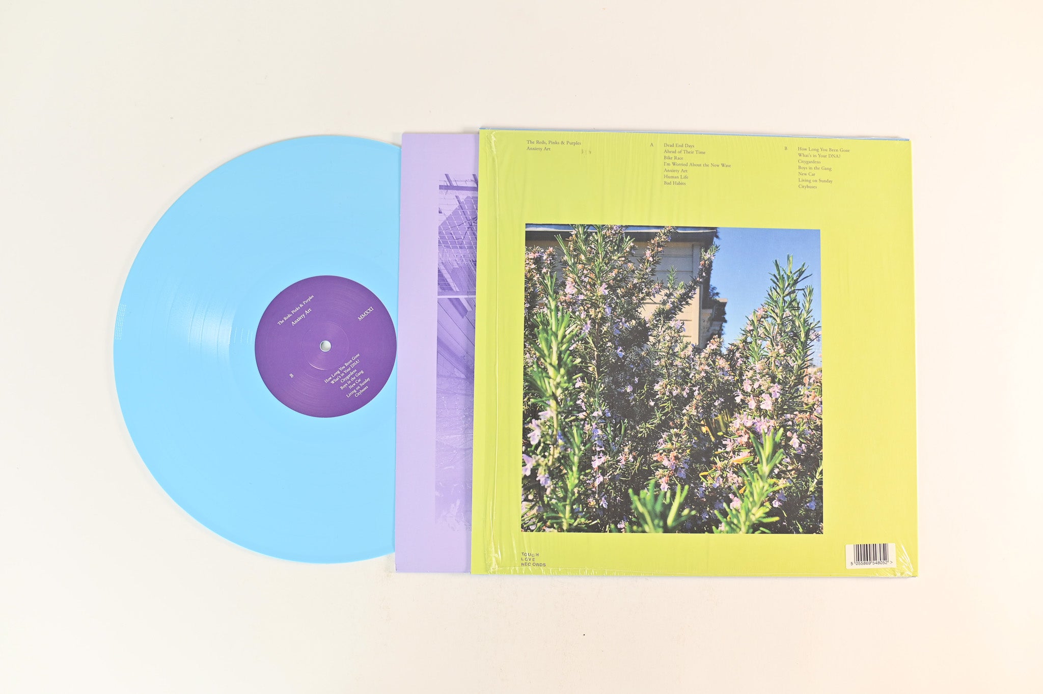 The Reds, Pinks And Purples - Anxiety Art on Tough Love Ltd Blue Vinyl Reissue
