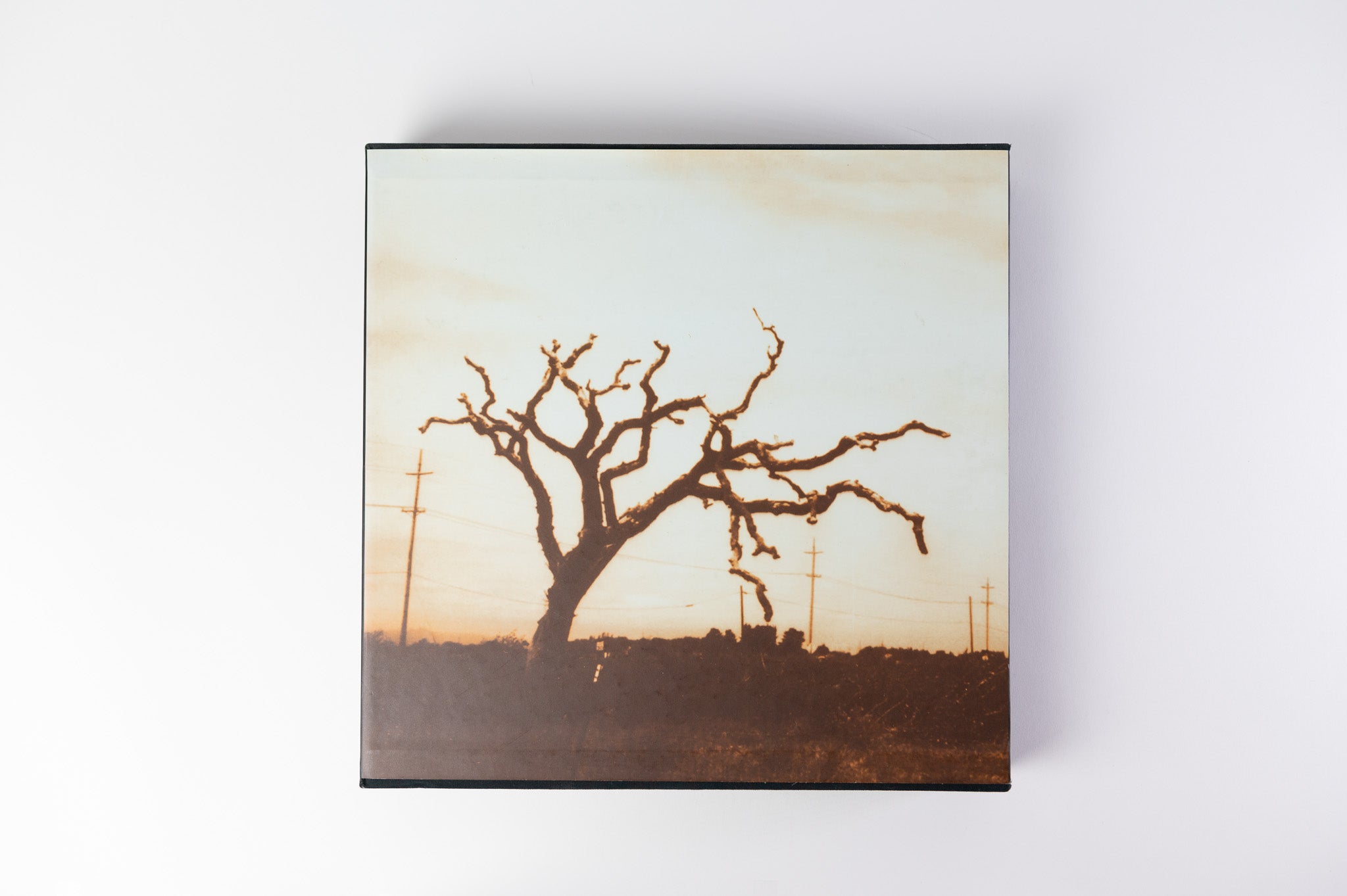Tom Waits - Orphans (Brawlers, Bawlers & Bastards) on Anti- Ltd Box Set