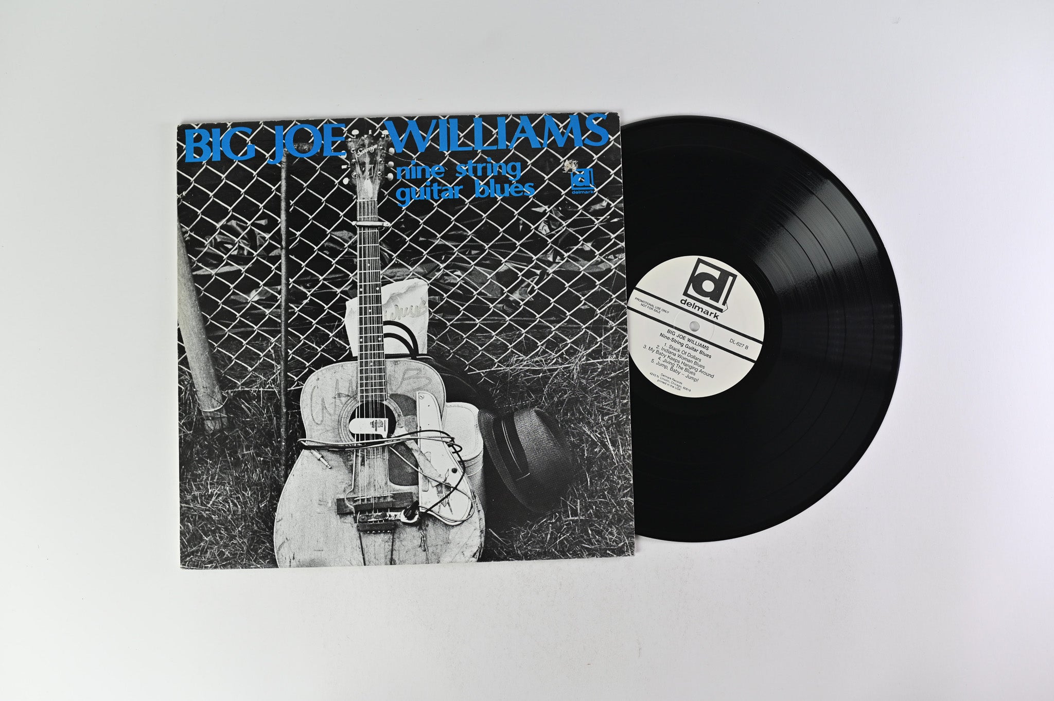 Big Joe Williams - Nine String Guitar Blues on Delmark Records - Promo