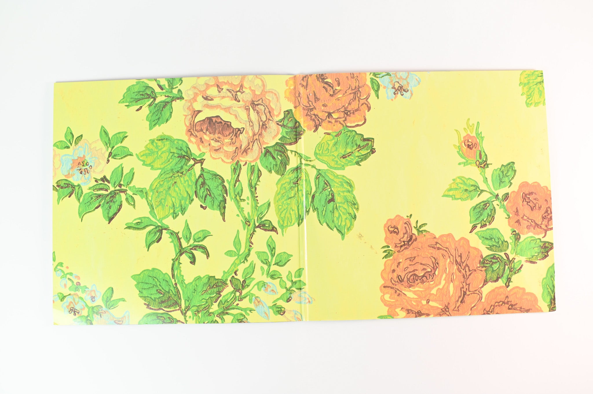 Ida - Tales Of Brave Ida on Polyvinyl Reissue