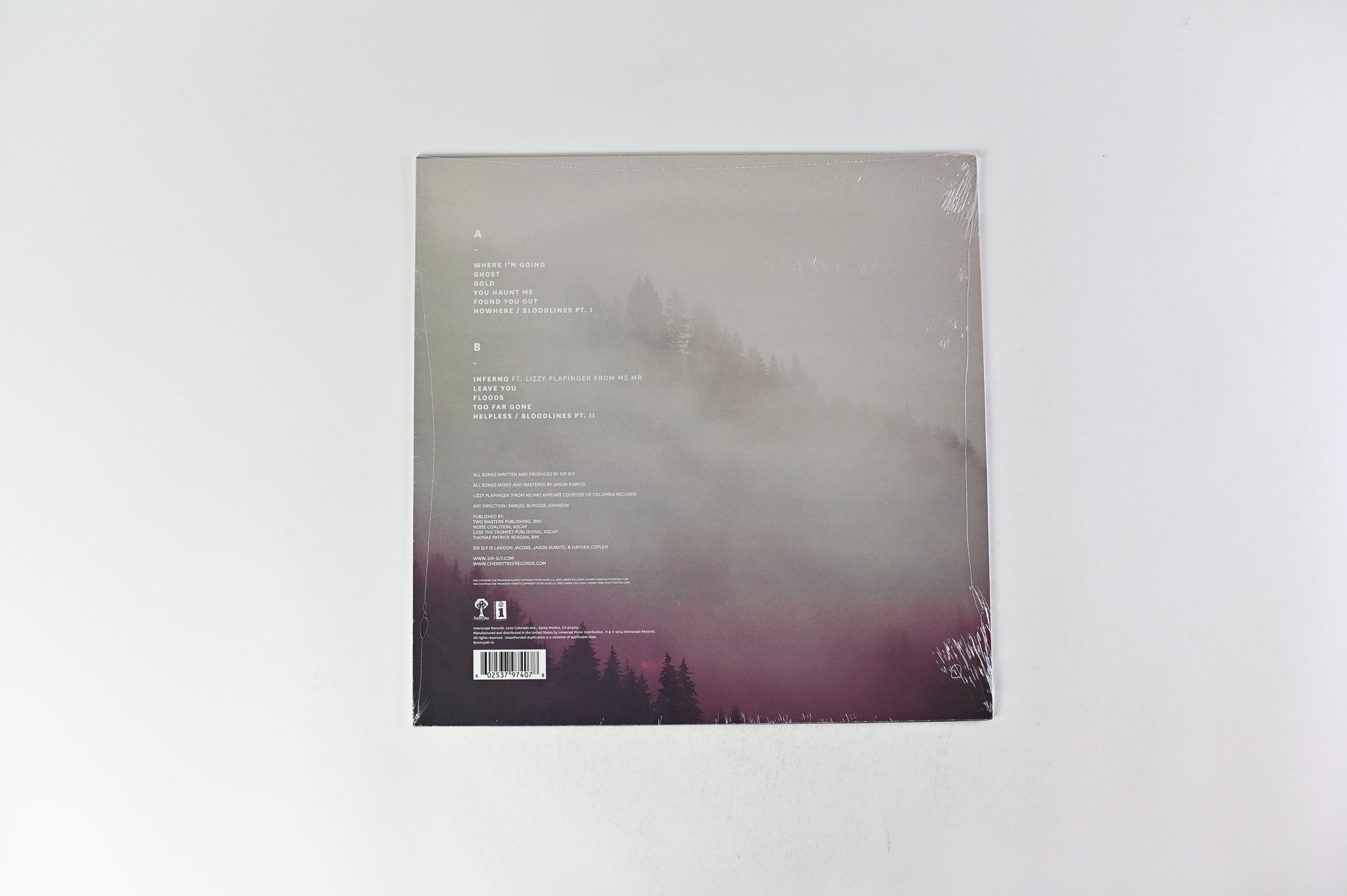 Sir Sly - You Haunt Me on Cherrytree Records - Sealed