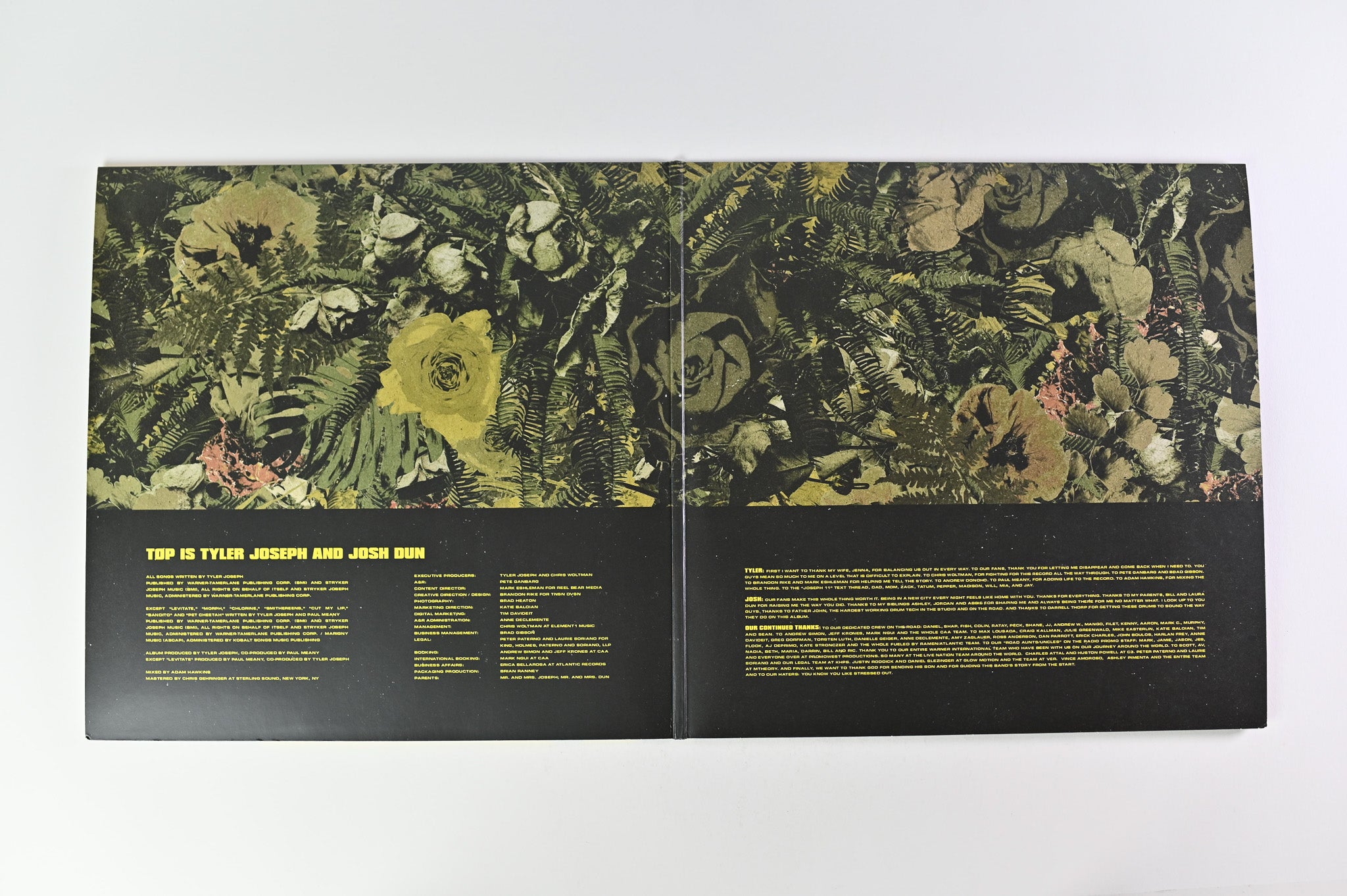 Twenty One Pilots - Trench on Fueled by Ramen Olive Green