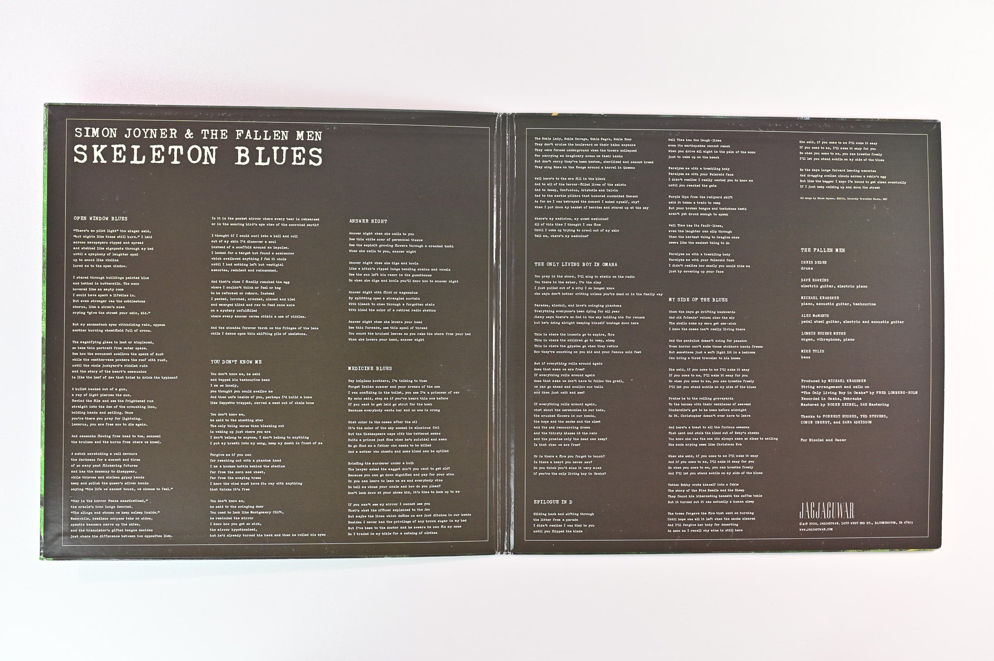 Simon Joyner & The Fallen Men - Skeleton Blues on Jagjaguwar