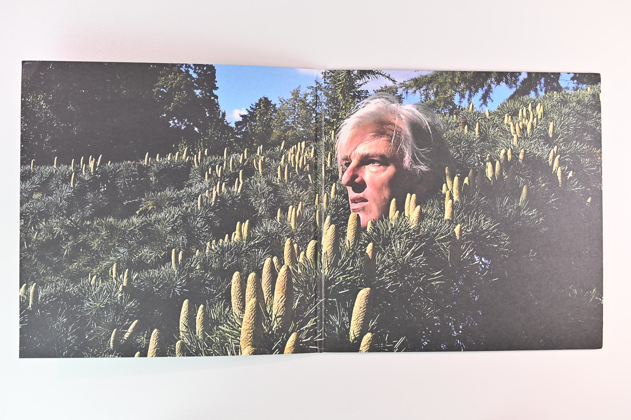 Robyn Hitchcock - Love From London on Yep Roc Records