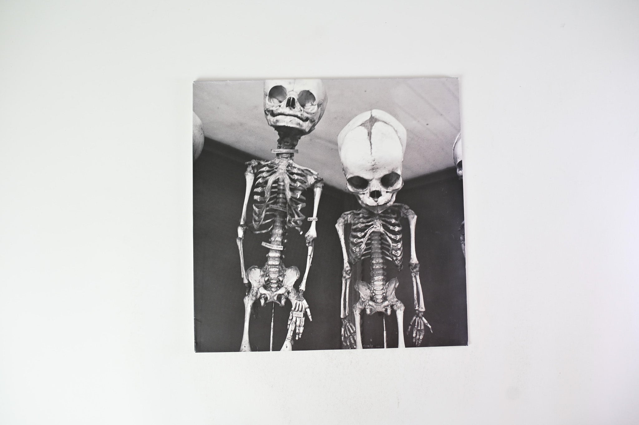 Holly Hunt - Year One on Other Electricities / Roofless Records