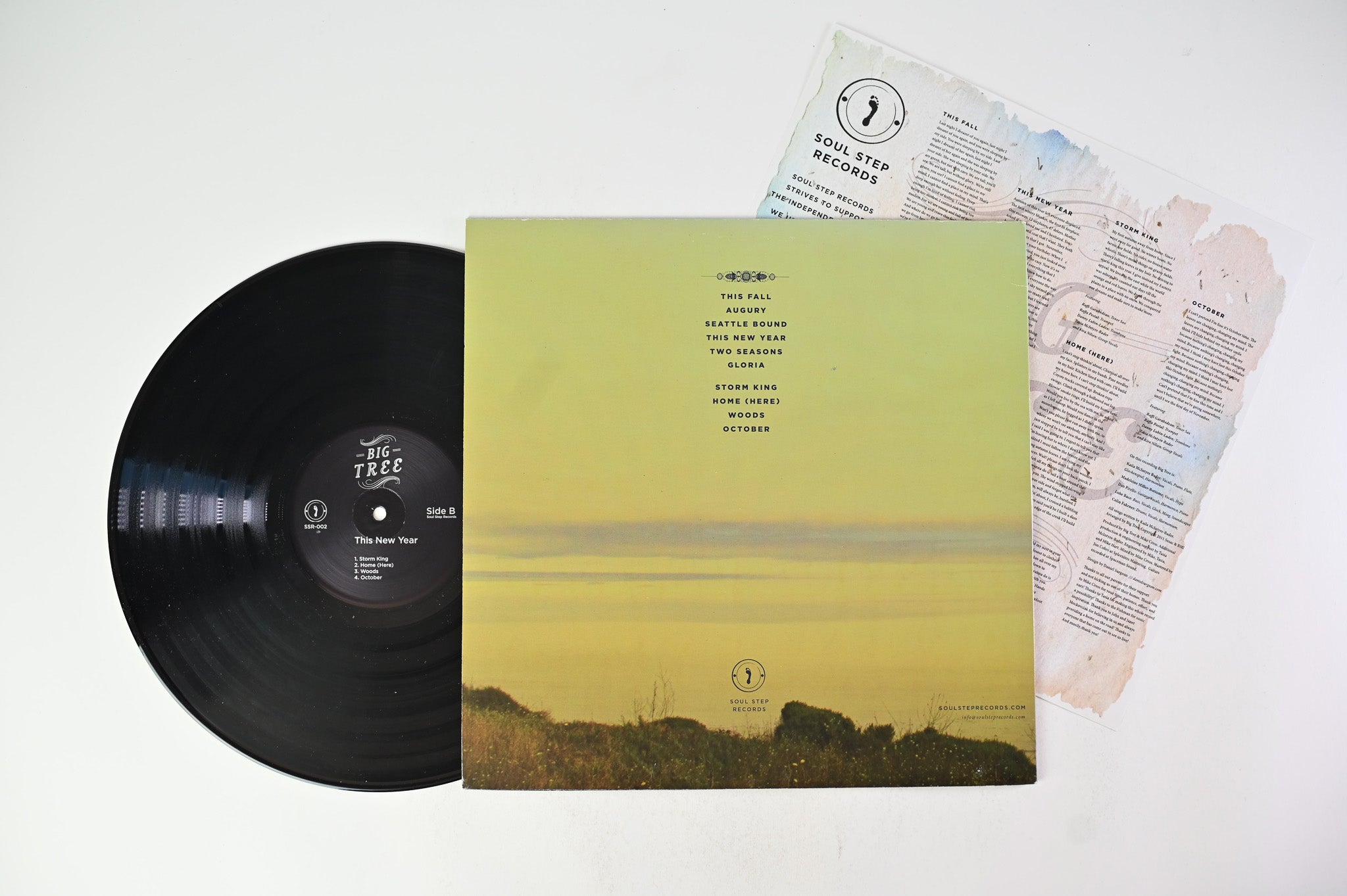 Big Tree - This New Year on Soul Step Records
