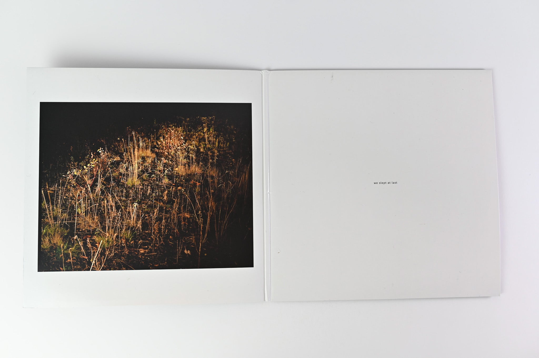 Marika Hackman - We Slept At Last on Dirty Hit Ltd With Lyric Booklet