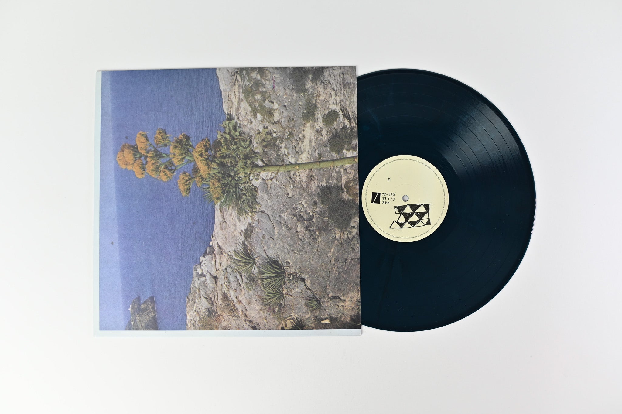 DIIV - Oshin on Captured Tracks Ltd Blue Marble