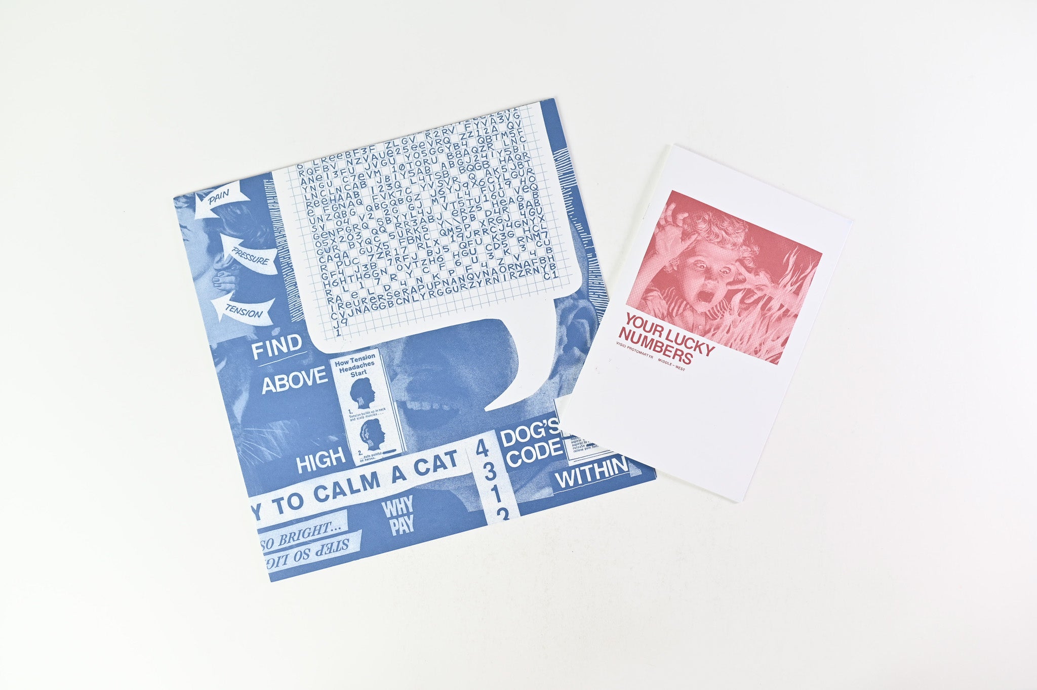 Protomartyr - Ultimate Success Today on Domino