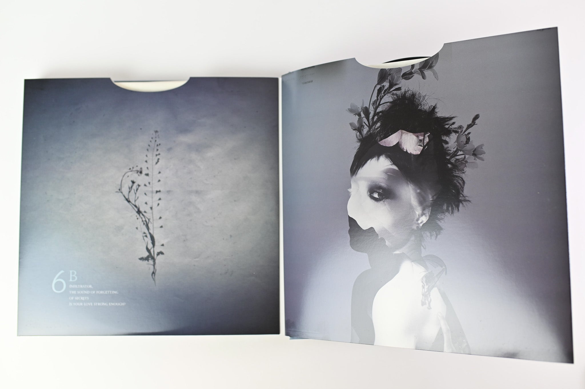 Trent Reznor / Atticus Ross - The Girl With The Dragon Tattoo Null Corp Ltd Numbered Box Set