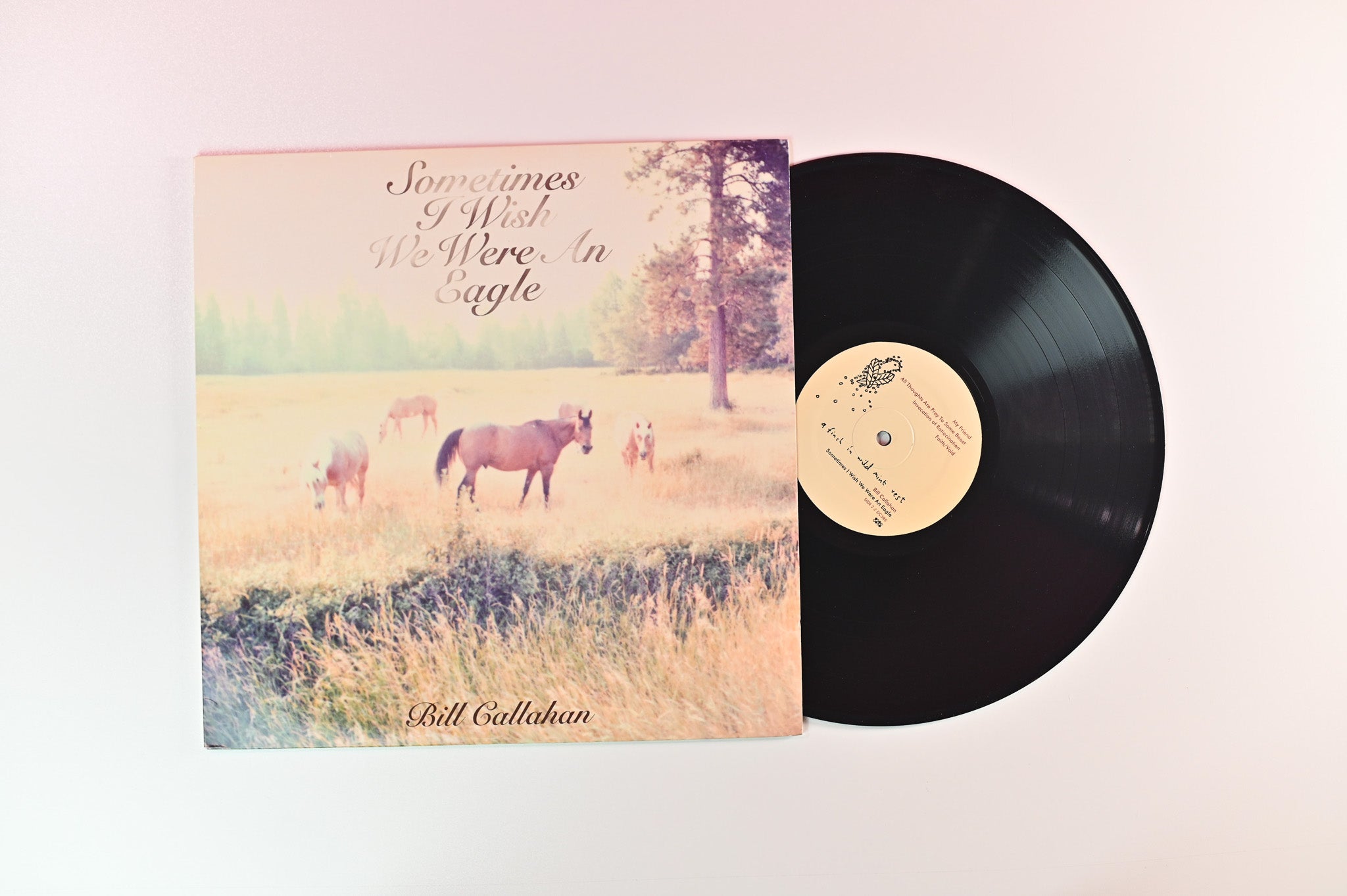 Bill Callahan - Sometimes I Wish We Were An Eagle on Drag City