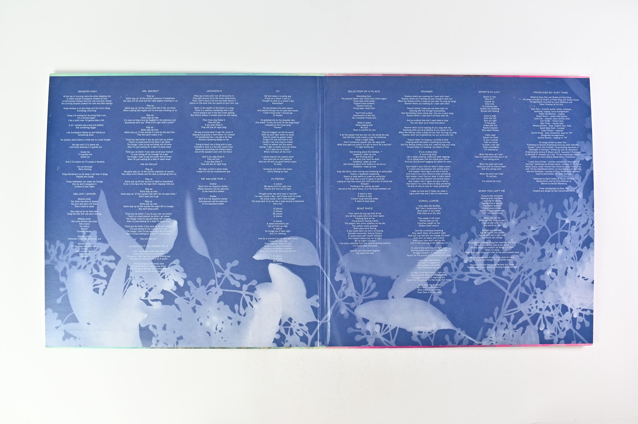 Avey Tare - Eucalyptus on Domino