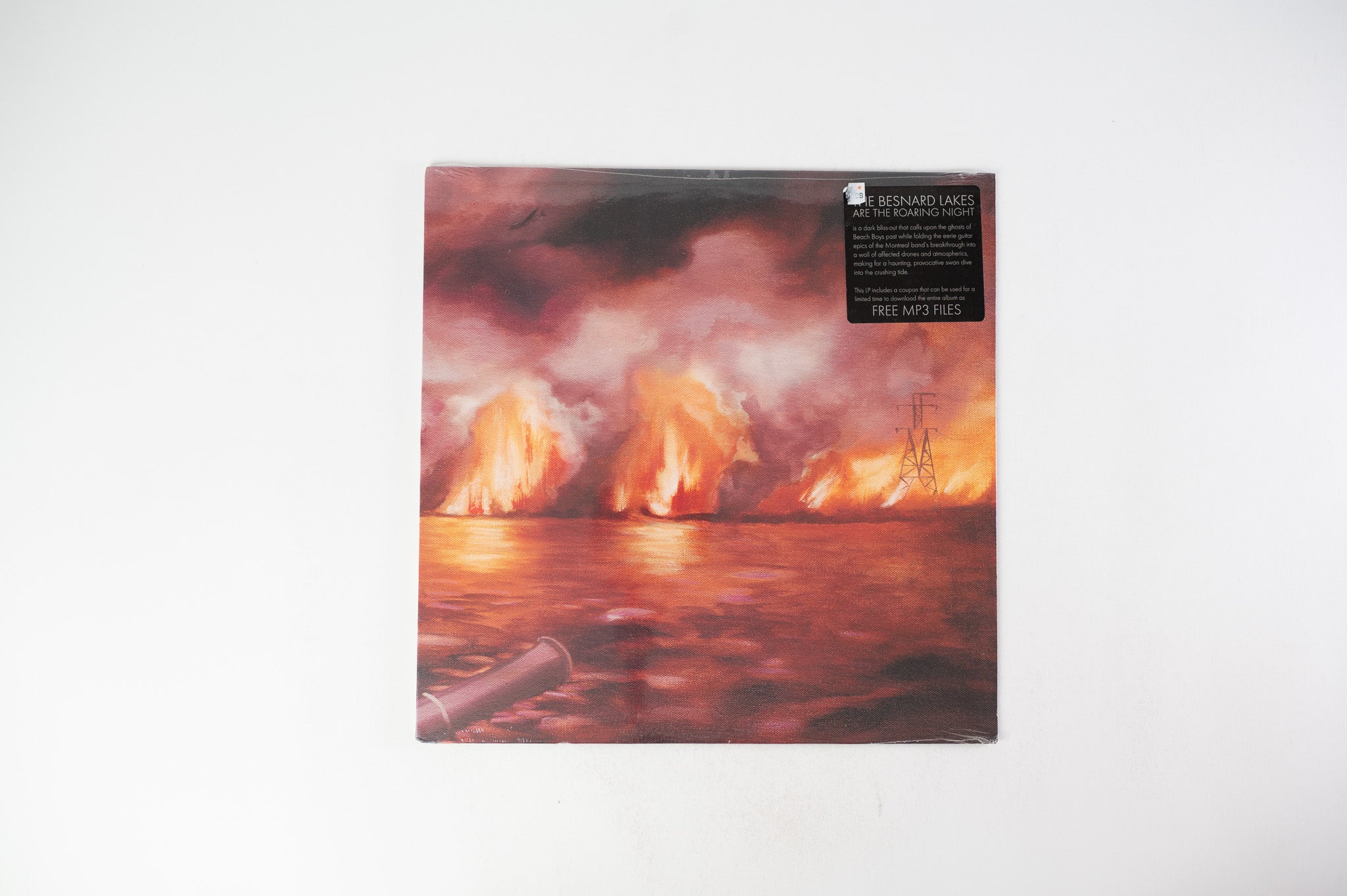 The Besnard Lakes - The Besnard Lakes Are The Roaring Night on Jagjaguwar - Sealed