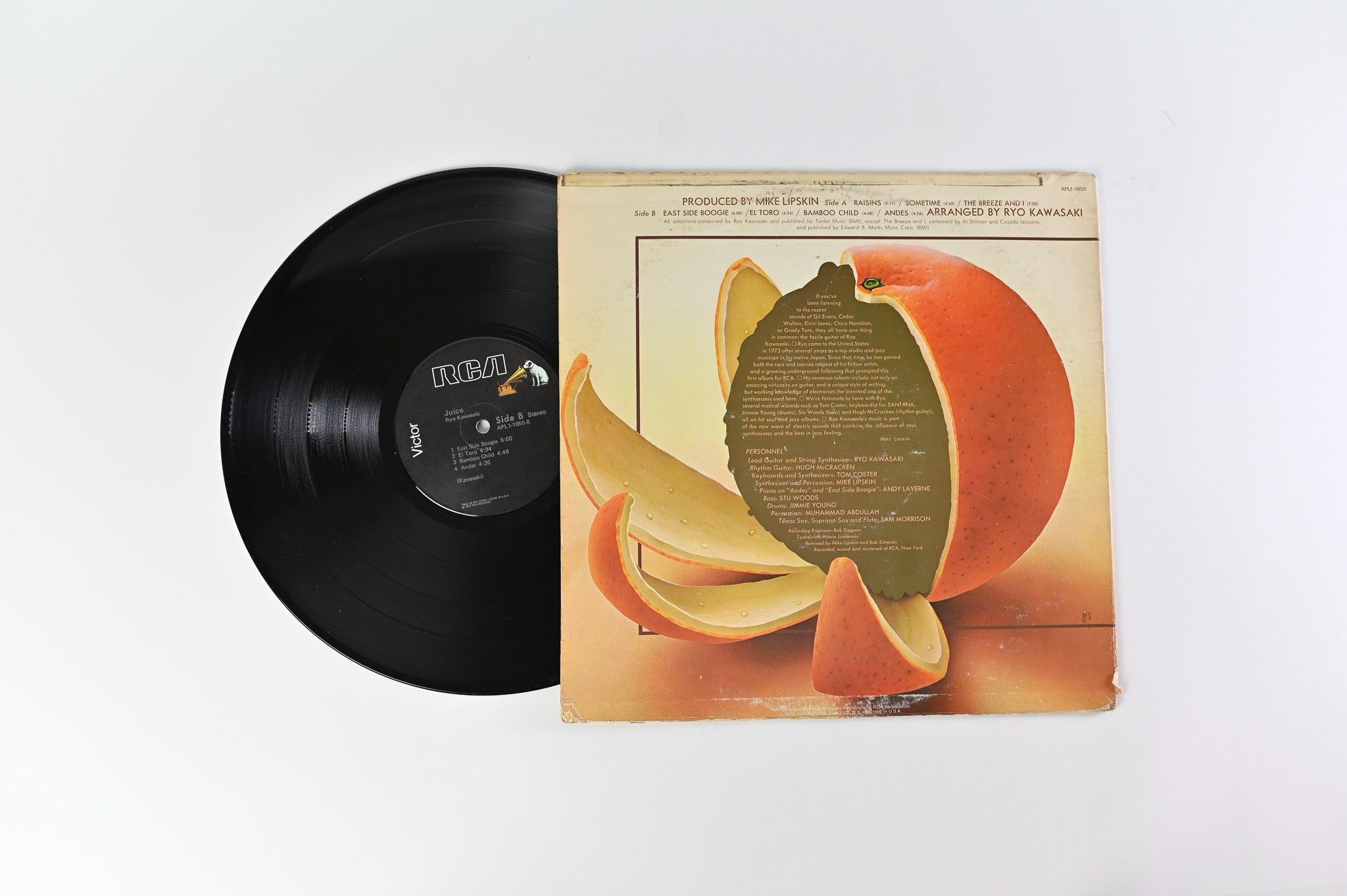 Ryo Kawasaki - Juice on RCA Victor