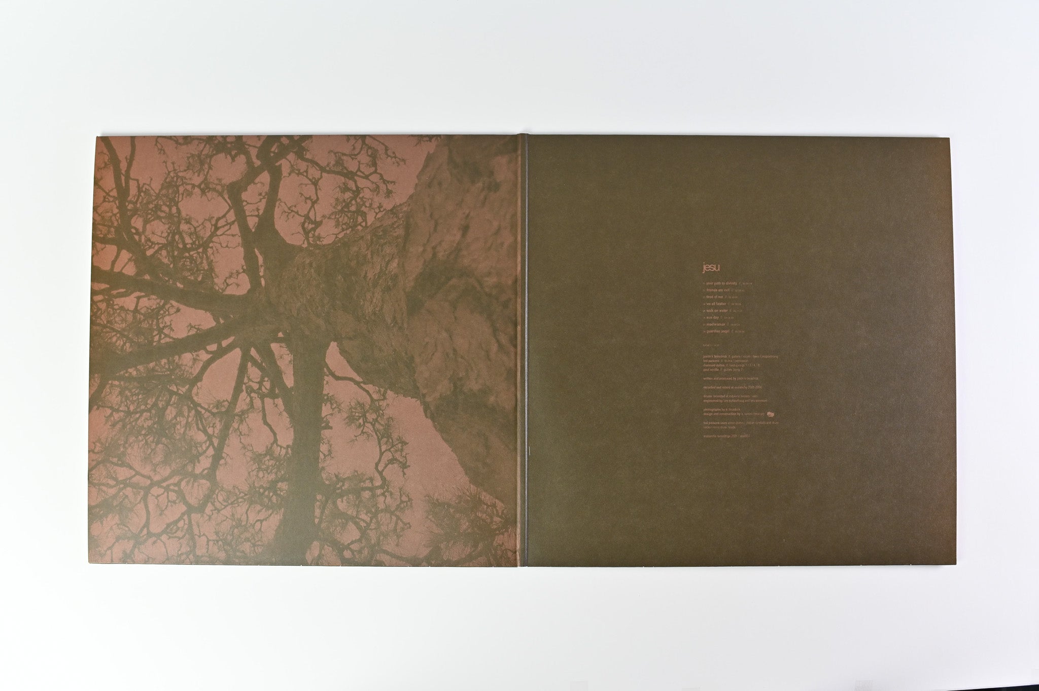 Jesu - Jesu on Avalanche Recordings