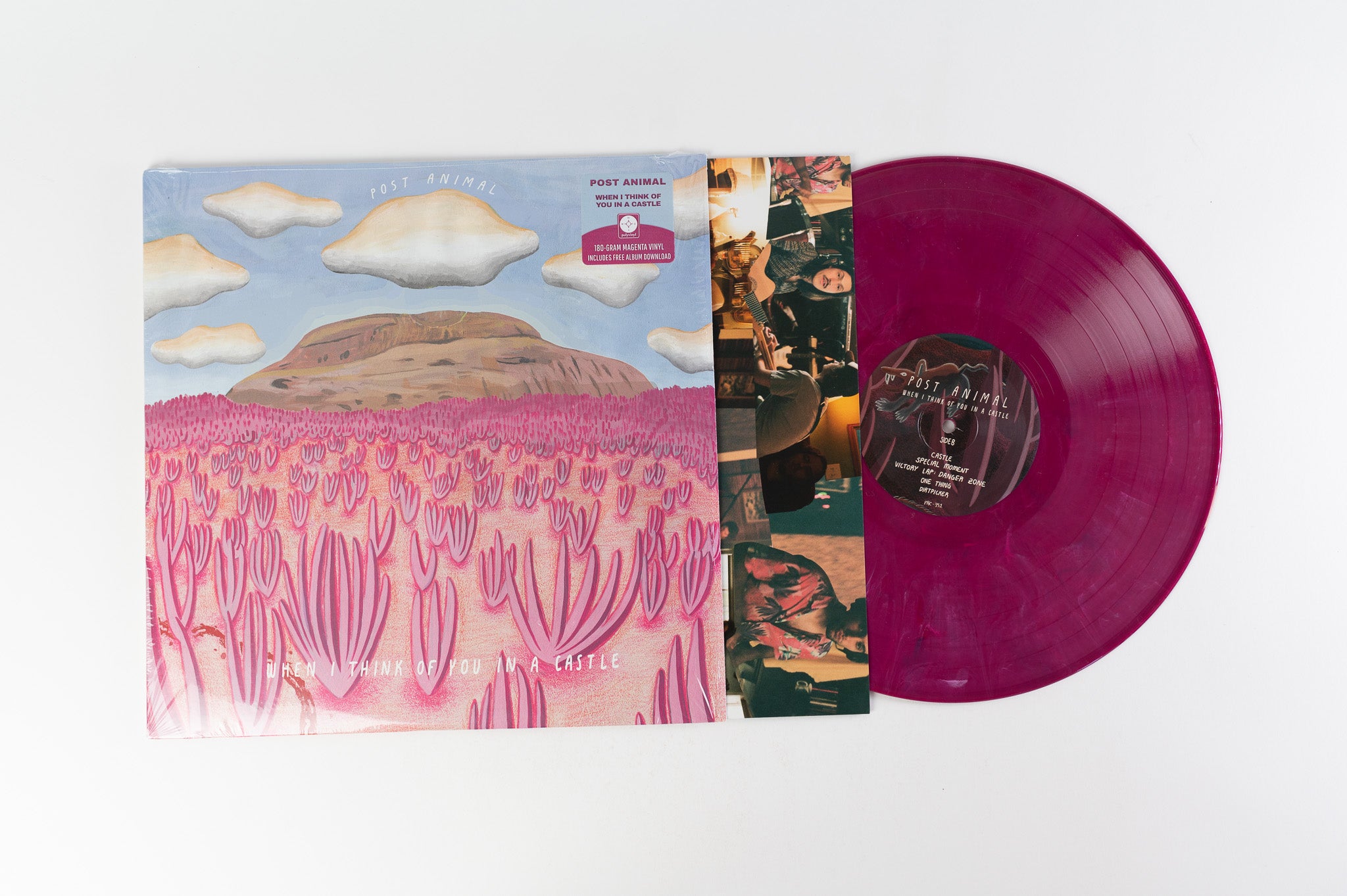 Post Animal - When I Think Of You In A Castle on Polyvinyl Magenta Vinyl