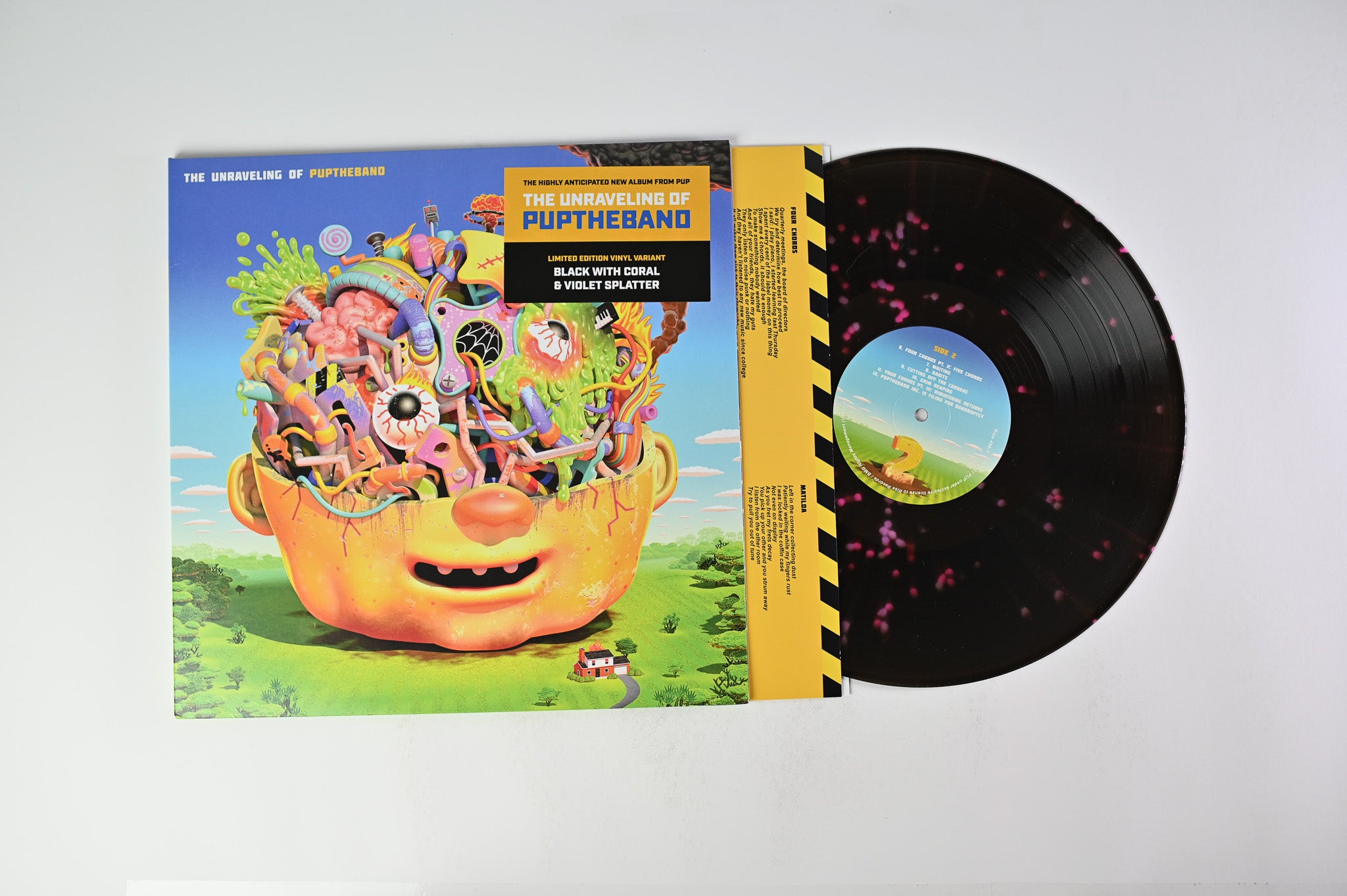 Pup - The Unraveling Of Puptheband on Rise Records - Black With Coral And Violet Splatter