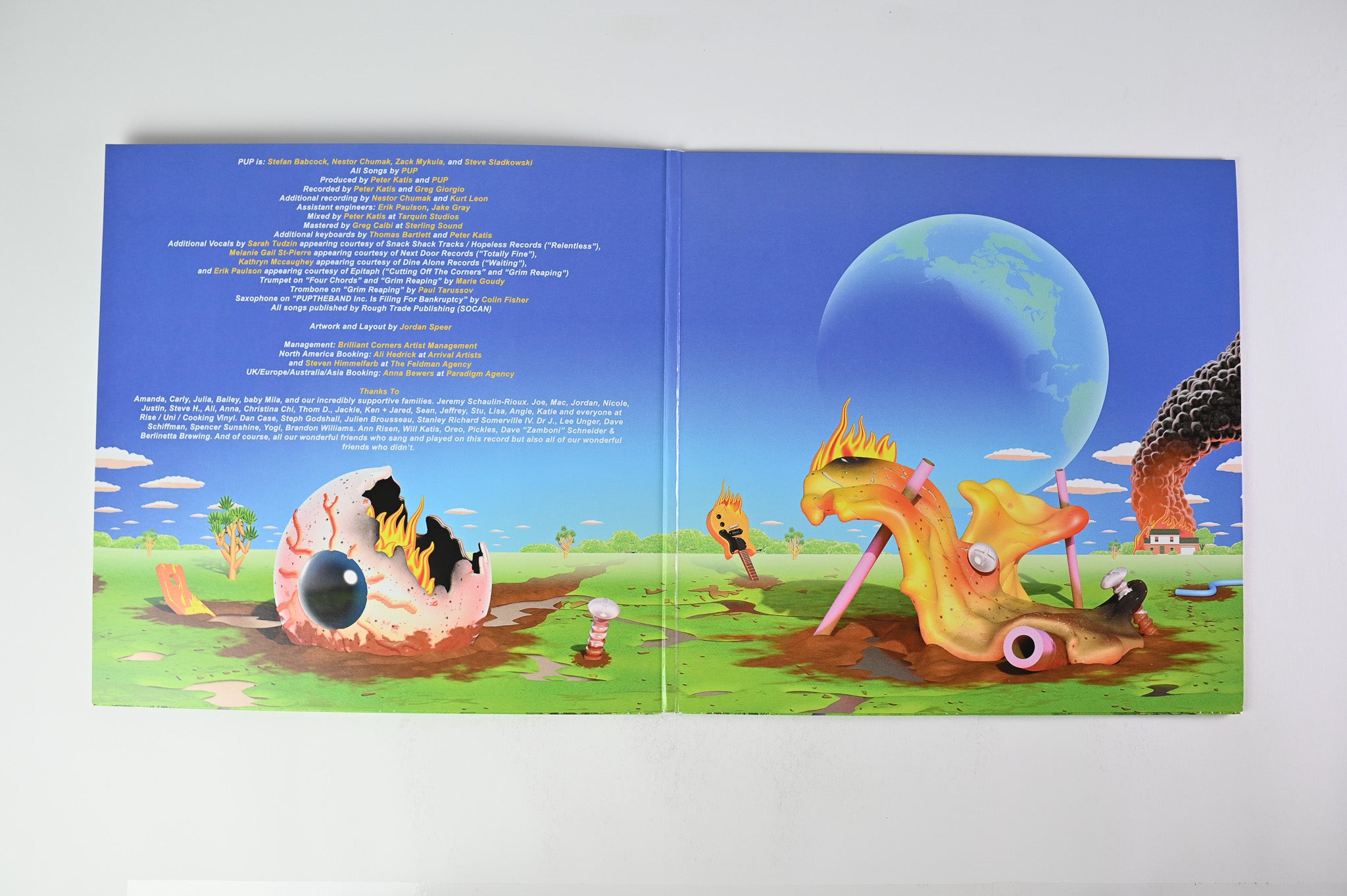 Pup - The Unraveling Of Puptheband on Rise Records - Black With Coral And Violet Splatter