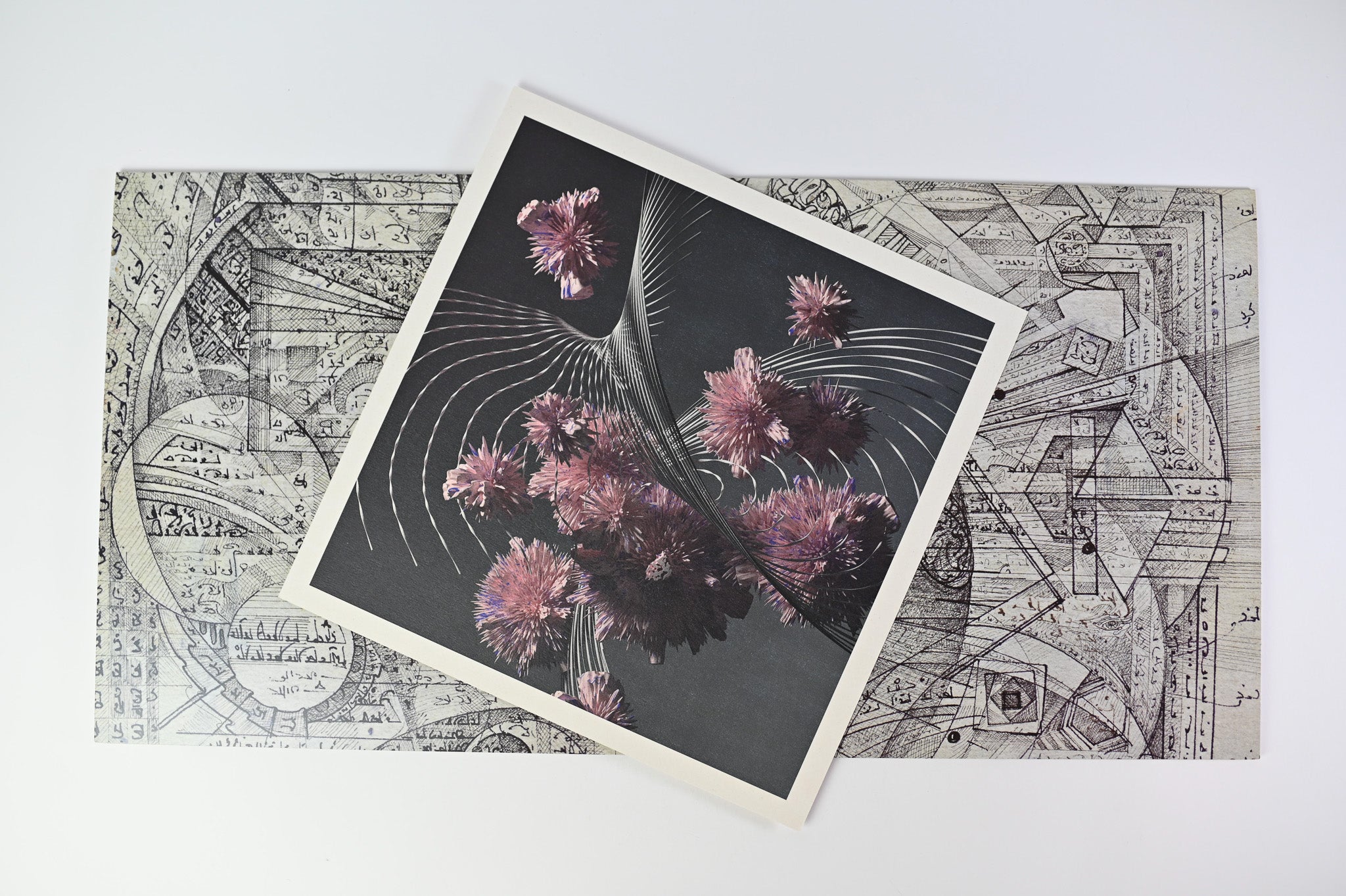 洋楽 vinyl me please Flying Lotus Cosmogramma Flying Lotus - Cosmogramma Vinyl Me Please Black / White
