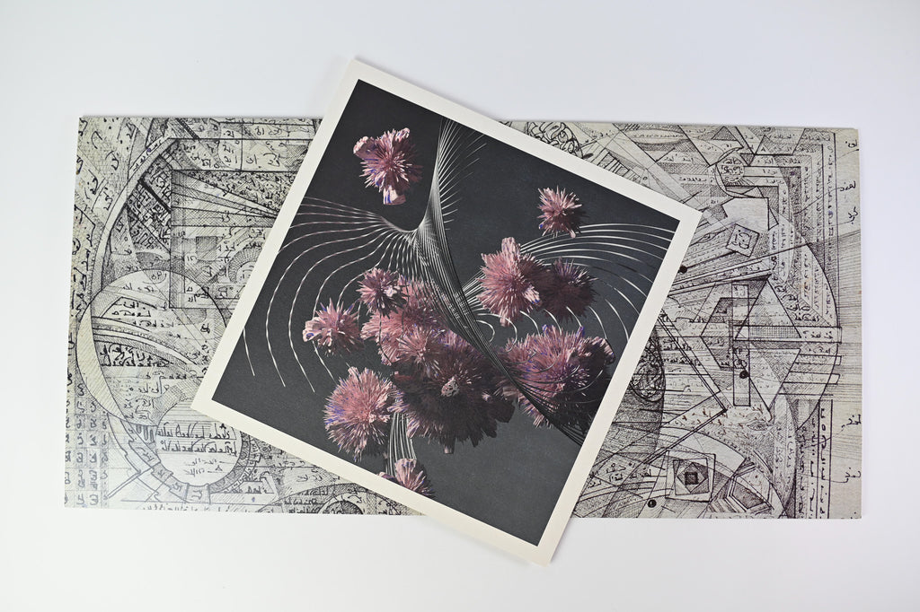 洋楽 vinyl me please Flying Lotus Cosmogramma vinyl me please Flying Lotus Cosmogramma