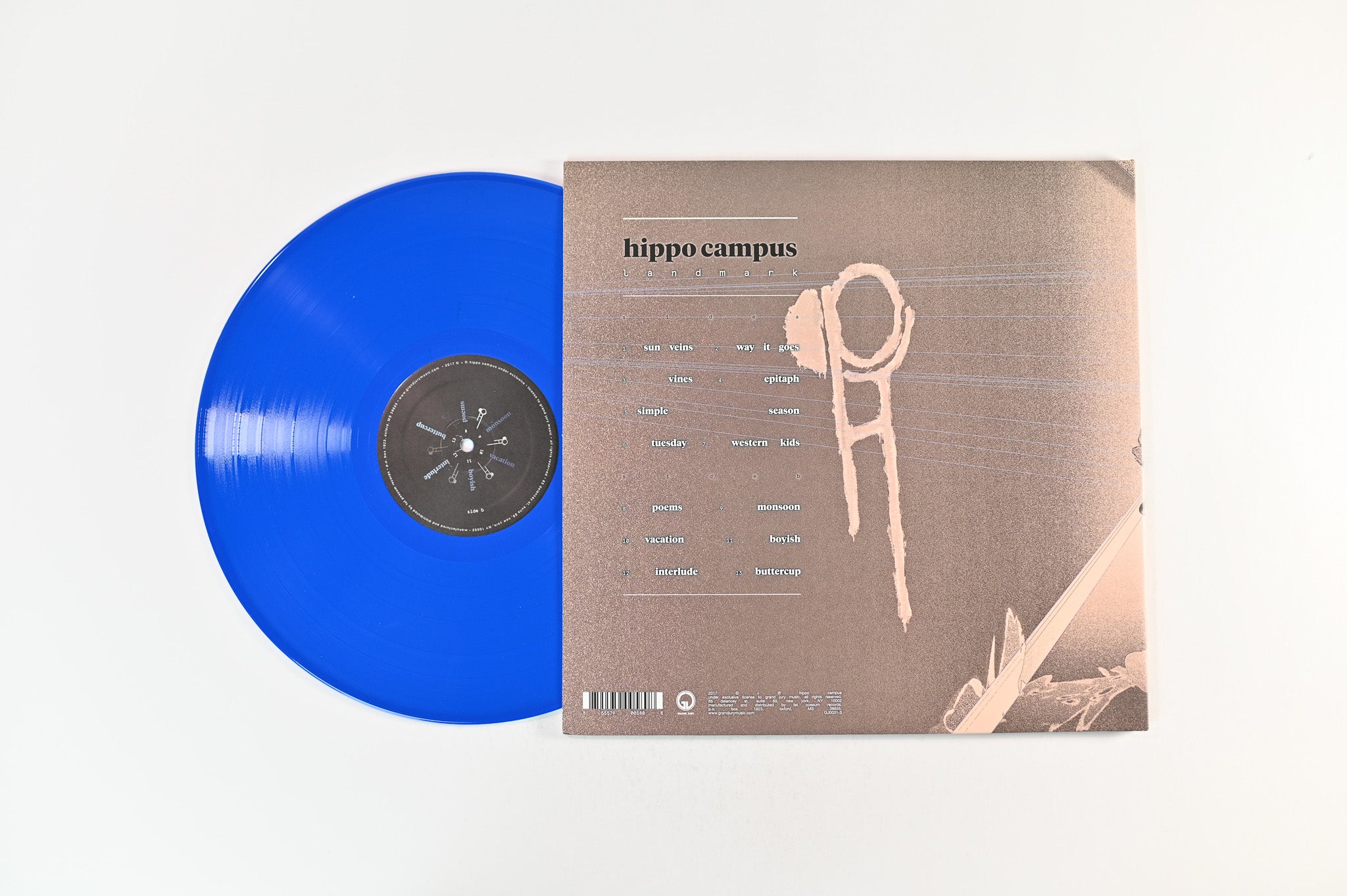 Hippo Campus - Landmark on Grand Jury Ltd Blue Vinyl Alternate Cover