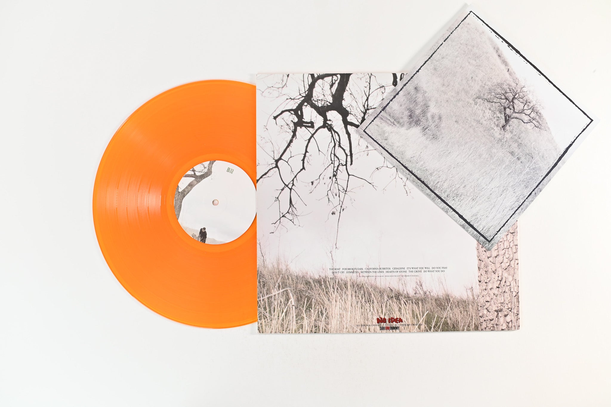 Chuck Ragan - Feast Or Famine on No Idea Orange Clear