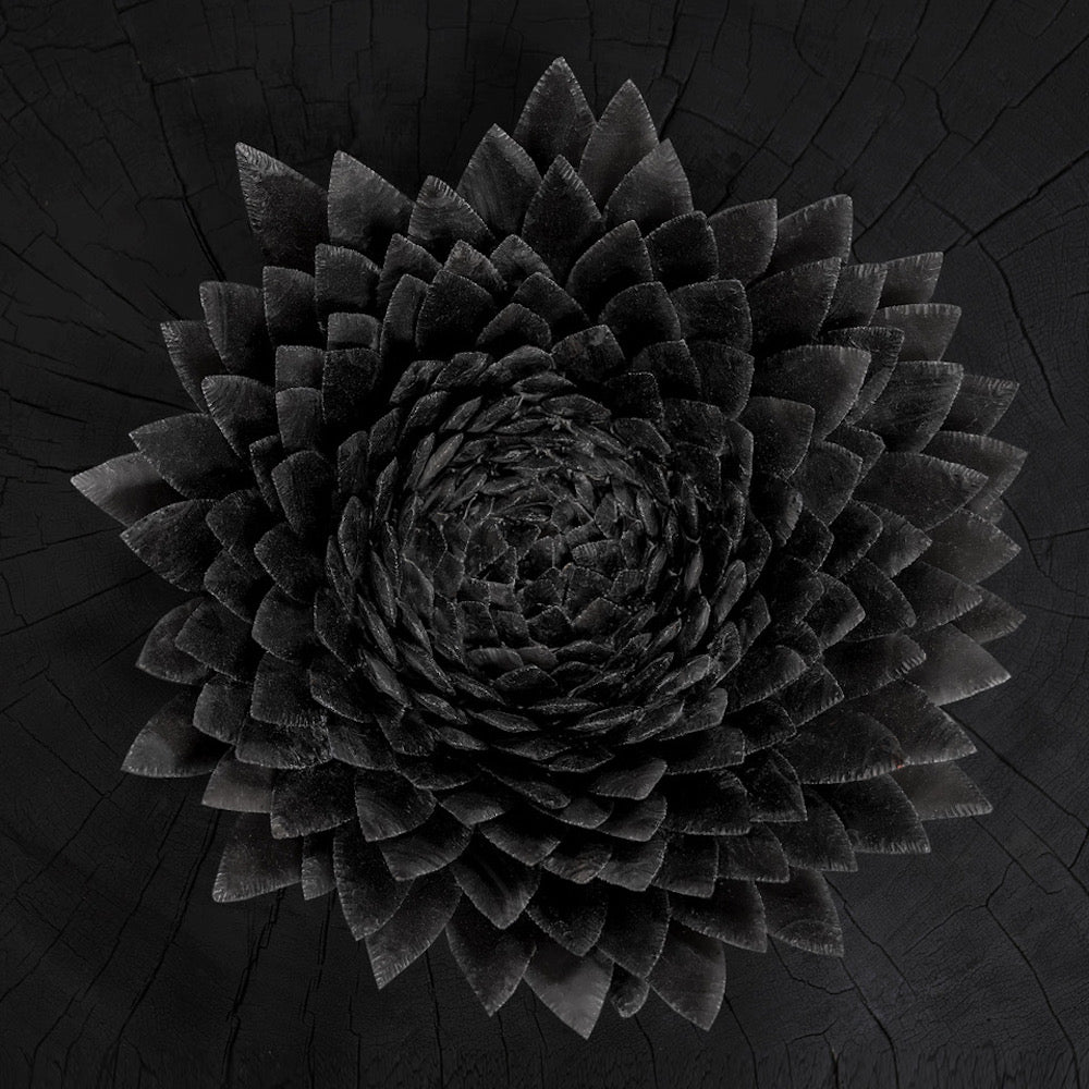 Jonsi - Obsidian