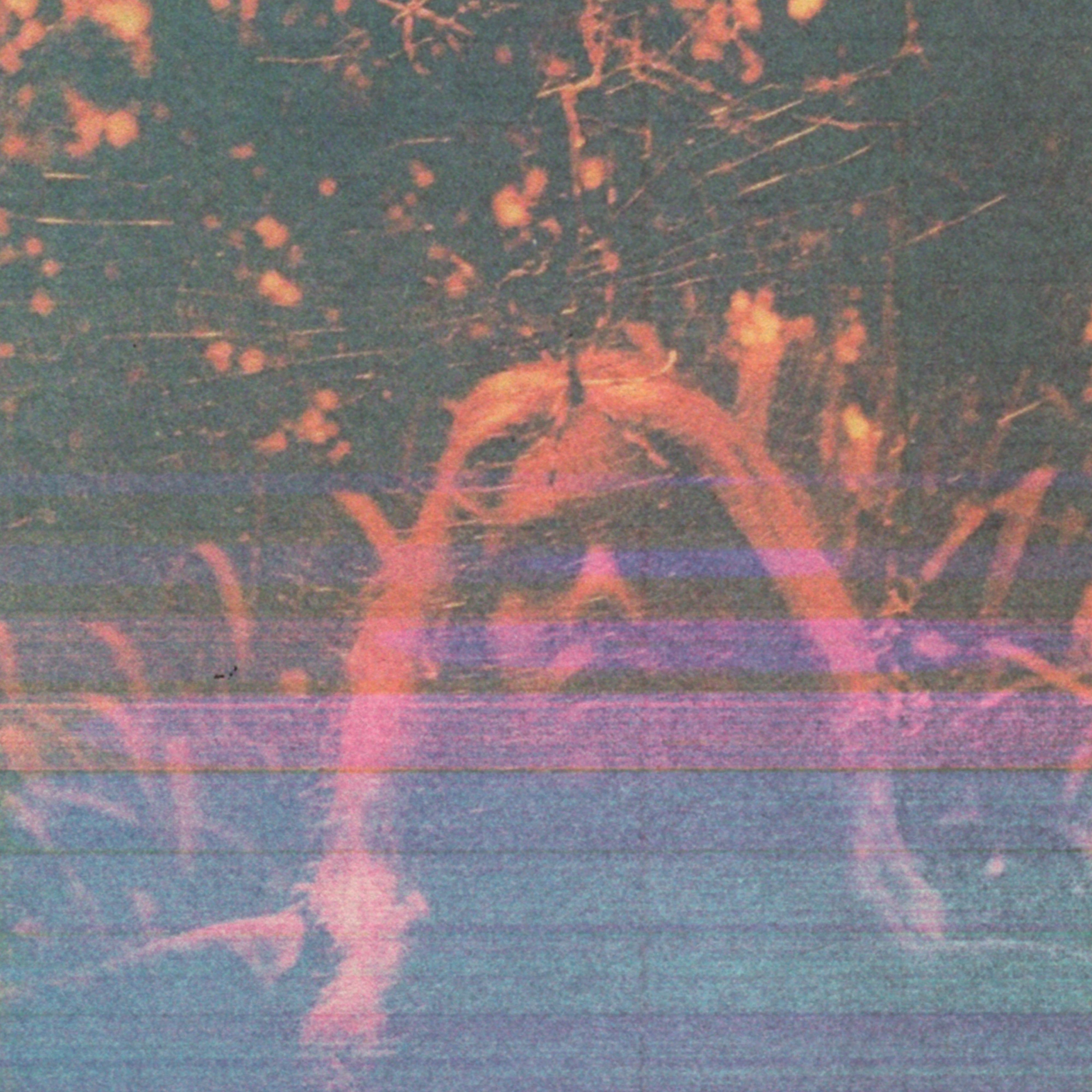 [PRE-ORDER] Turnover - Peripheral Vision (10 Year Anniversary Deluxe Edition) [Release Date: 08/15/2025]