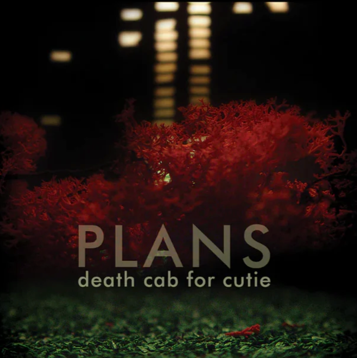 Death Cab for Cutie - Plans