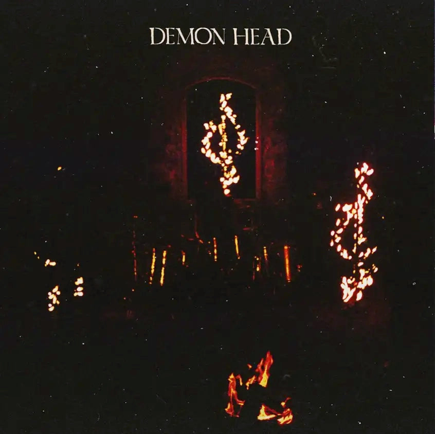[DAMAGED] Demon Head - Through Holes Shine The Stars [Violet Vinyl]