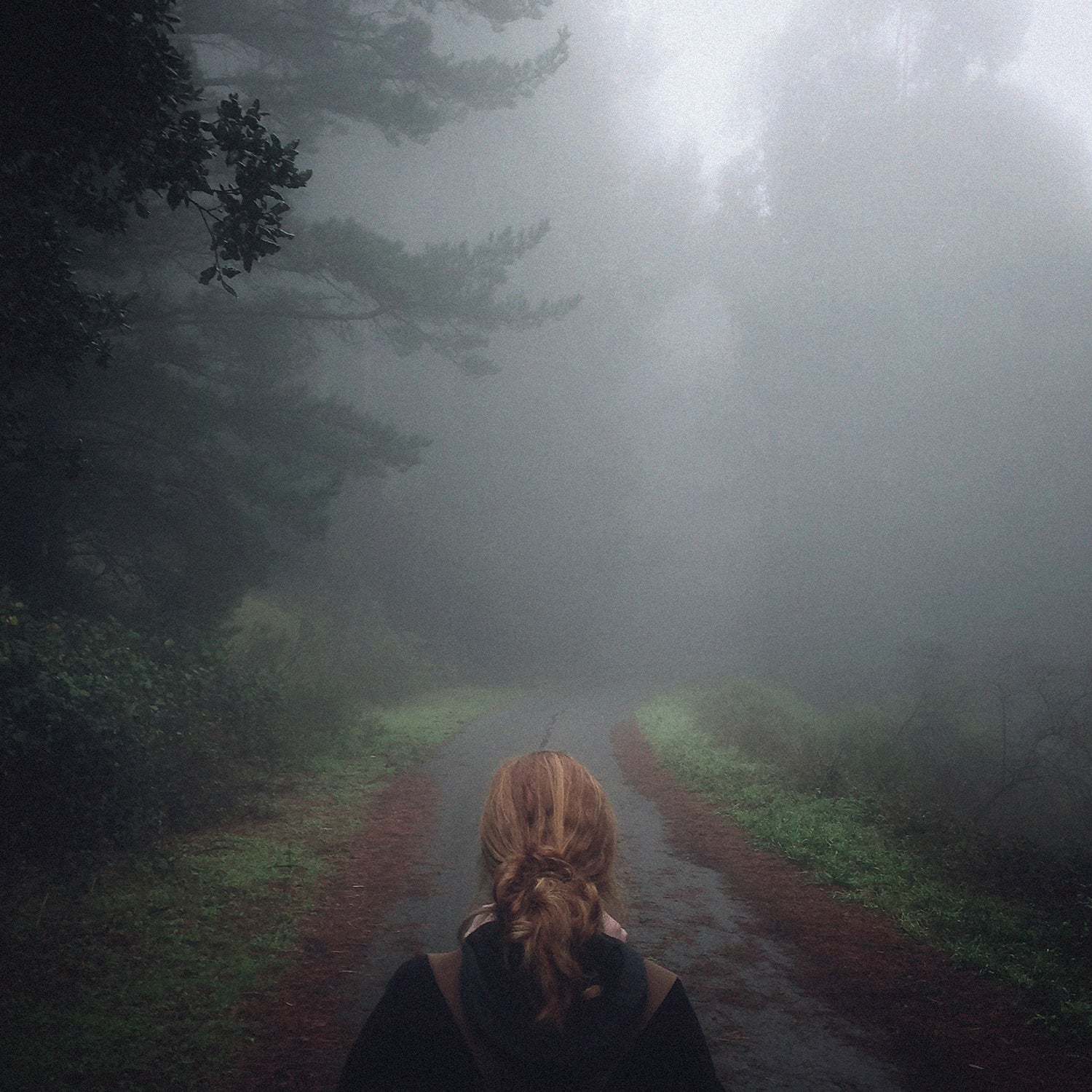 [PRE-ORDER] Mono - Under the Pipal Tree [Iridescent Forest Night Vinyl] [Release Date: 03/27/2026]