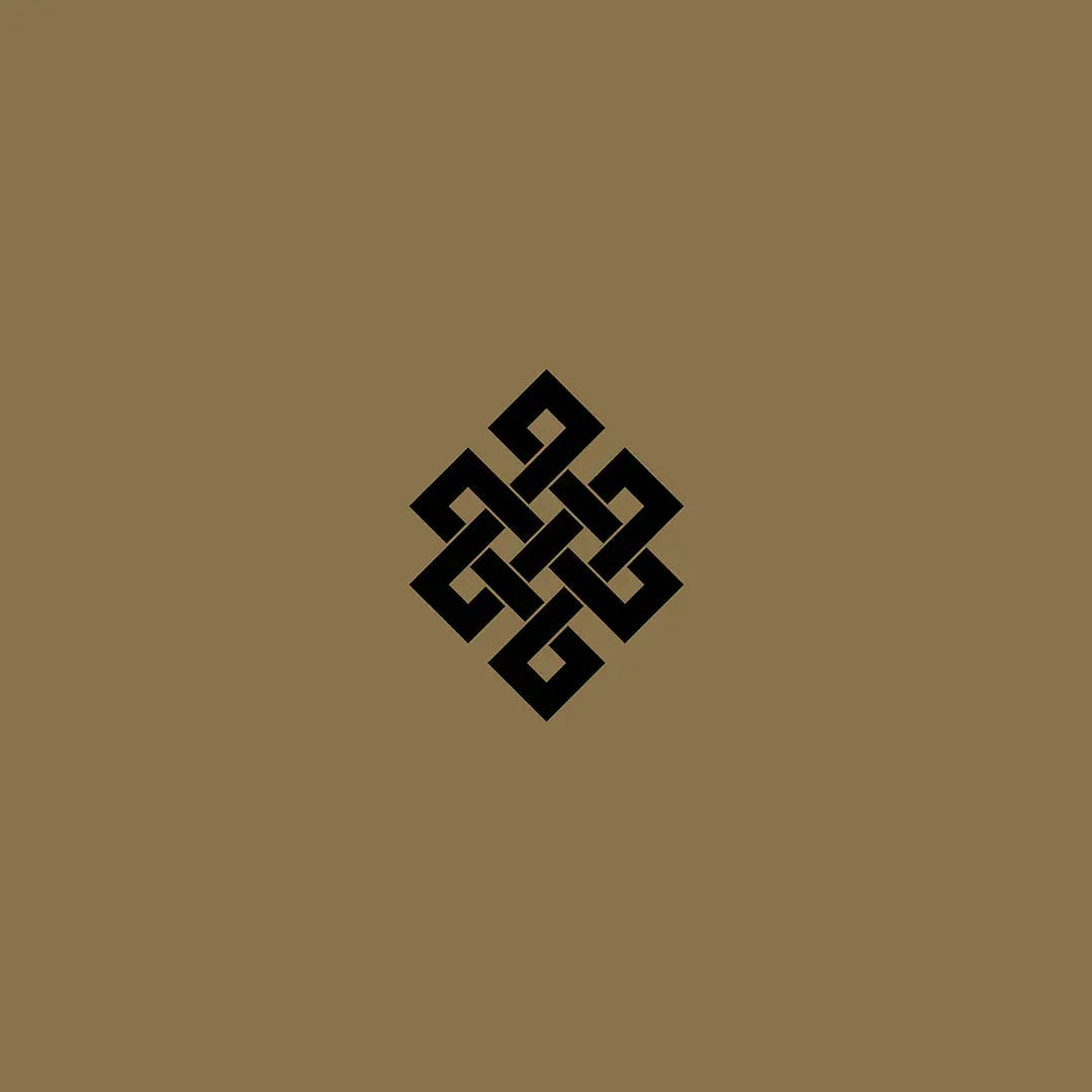 [PRE-ORDER] Throbbing Gristle - Live at the Volksbühne, Berlin, New Year's Eve, 2005 [Release Date: 05/16/2025]