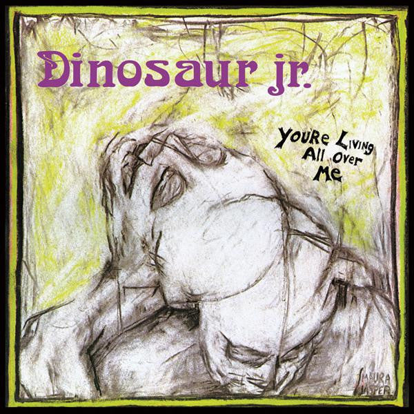 [DAMAGED] Dinosaur Jr. - You're Living All Over Me